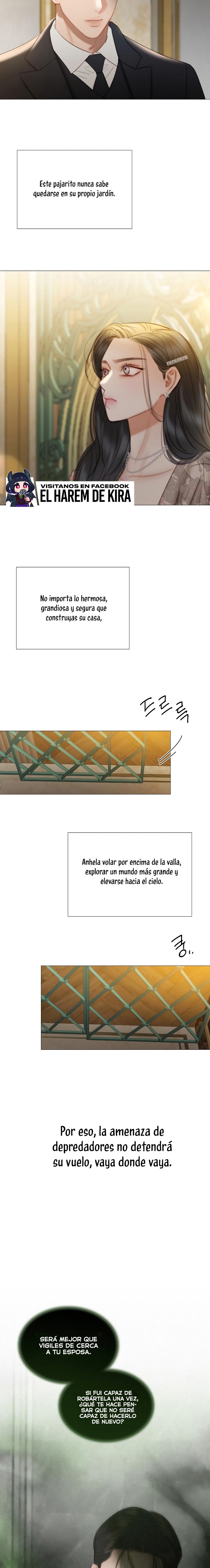 Serena Capítulo 84 - Page 5