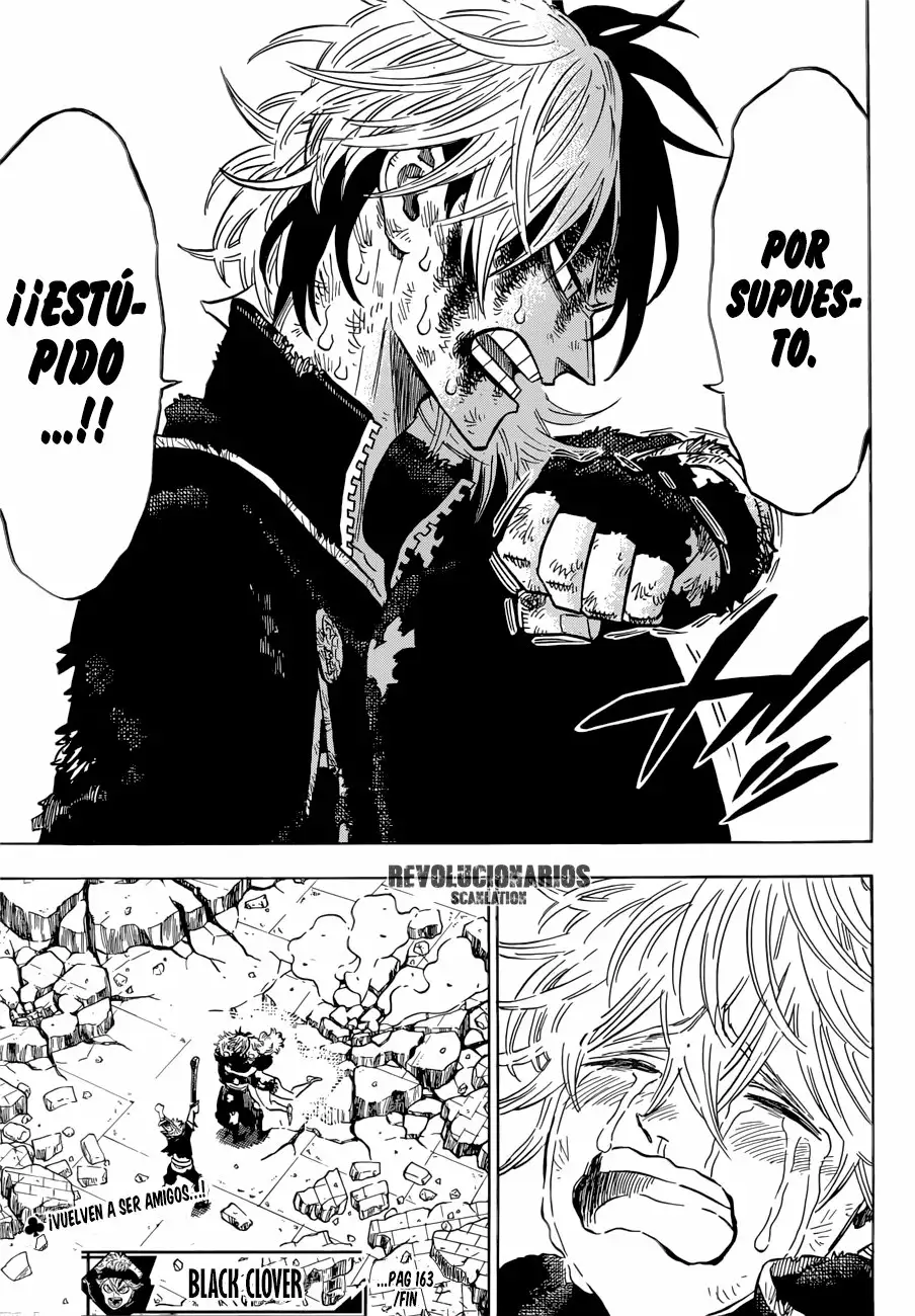 Black Clover Capítulo 163 - Page 13