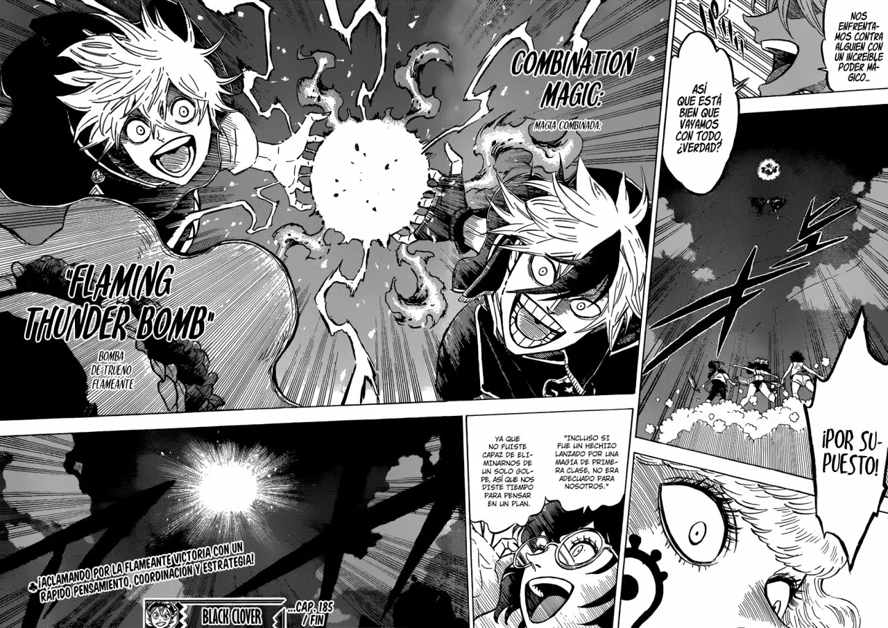 Black Clover Capítulo 185 - Page 14