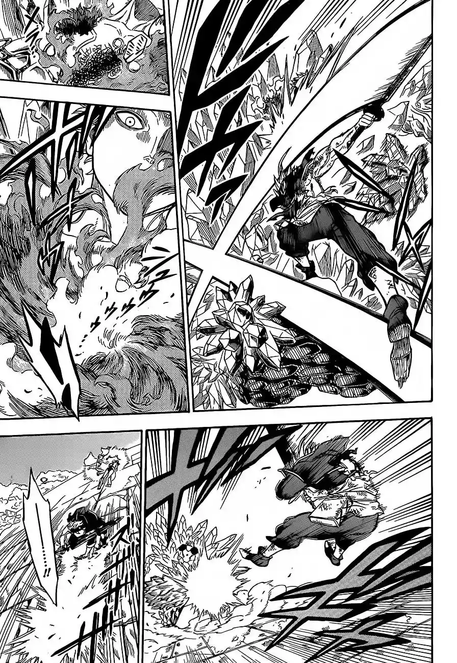 Black Clover Capítulo 19 - Page 15