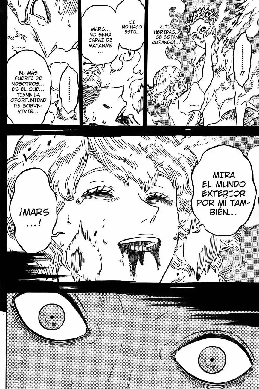 Black Clover Capítulo 21 - Page 15