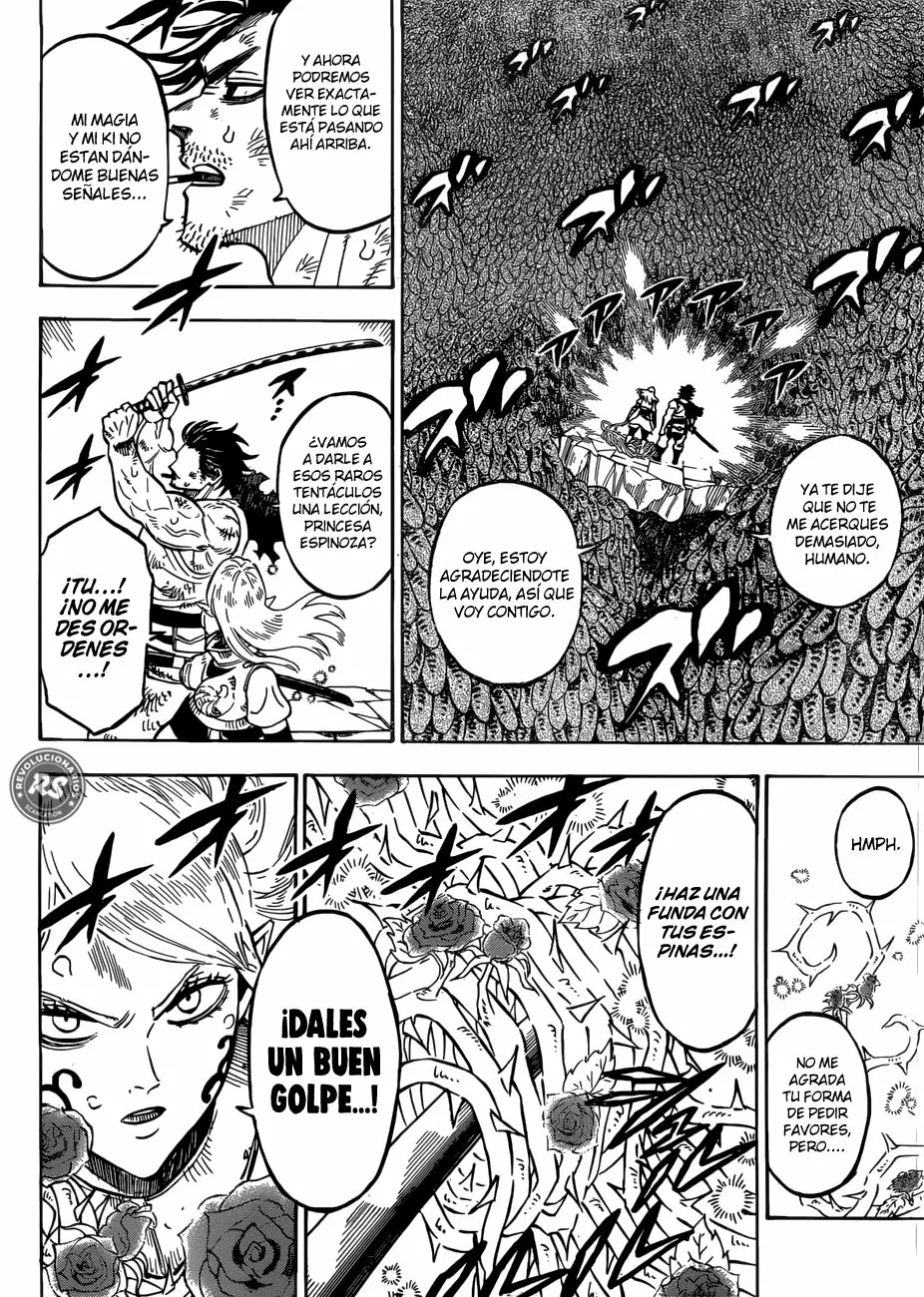 Black Clover Capítulo 210 - Page 15
