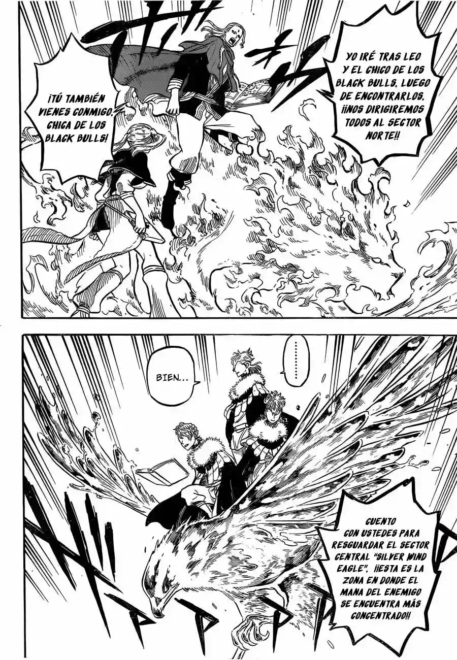 Black Clover Capítulo 25 - Page 13