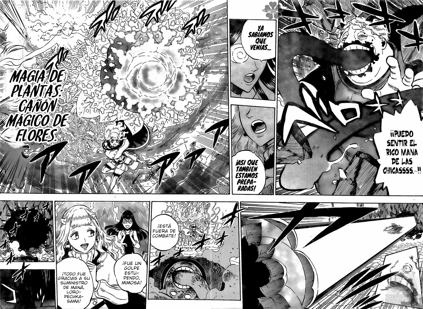 Black Clover Capítulo 251 - Page 6