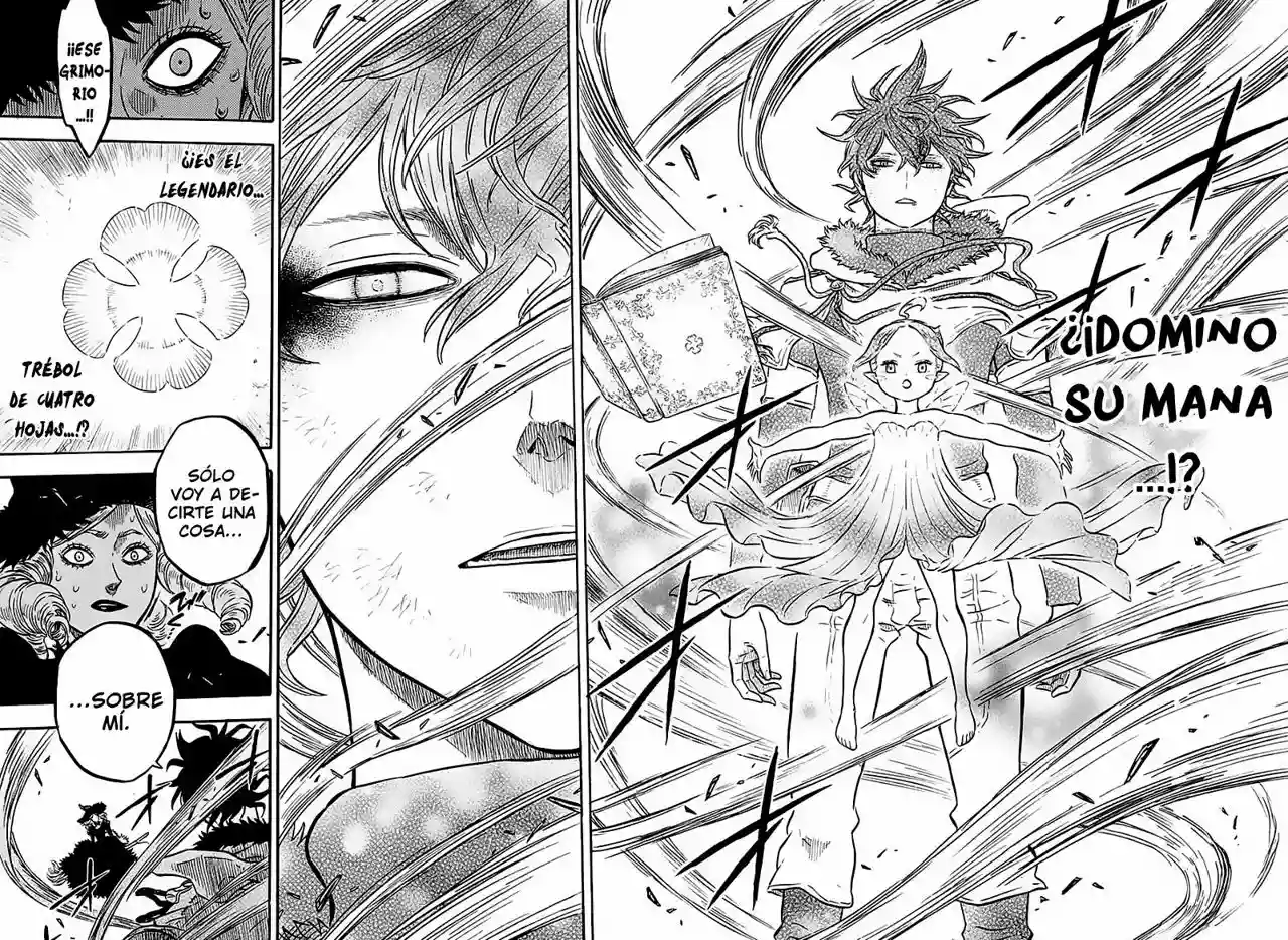Black Clover Capítulo 29 - Page 17