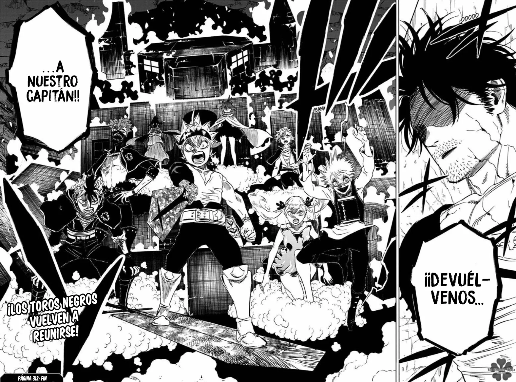 Black Clover Capítulo 312 - Page 14