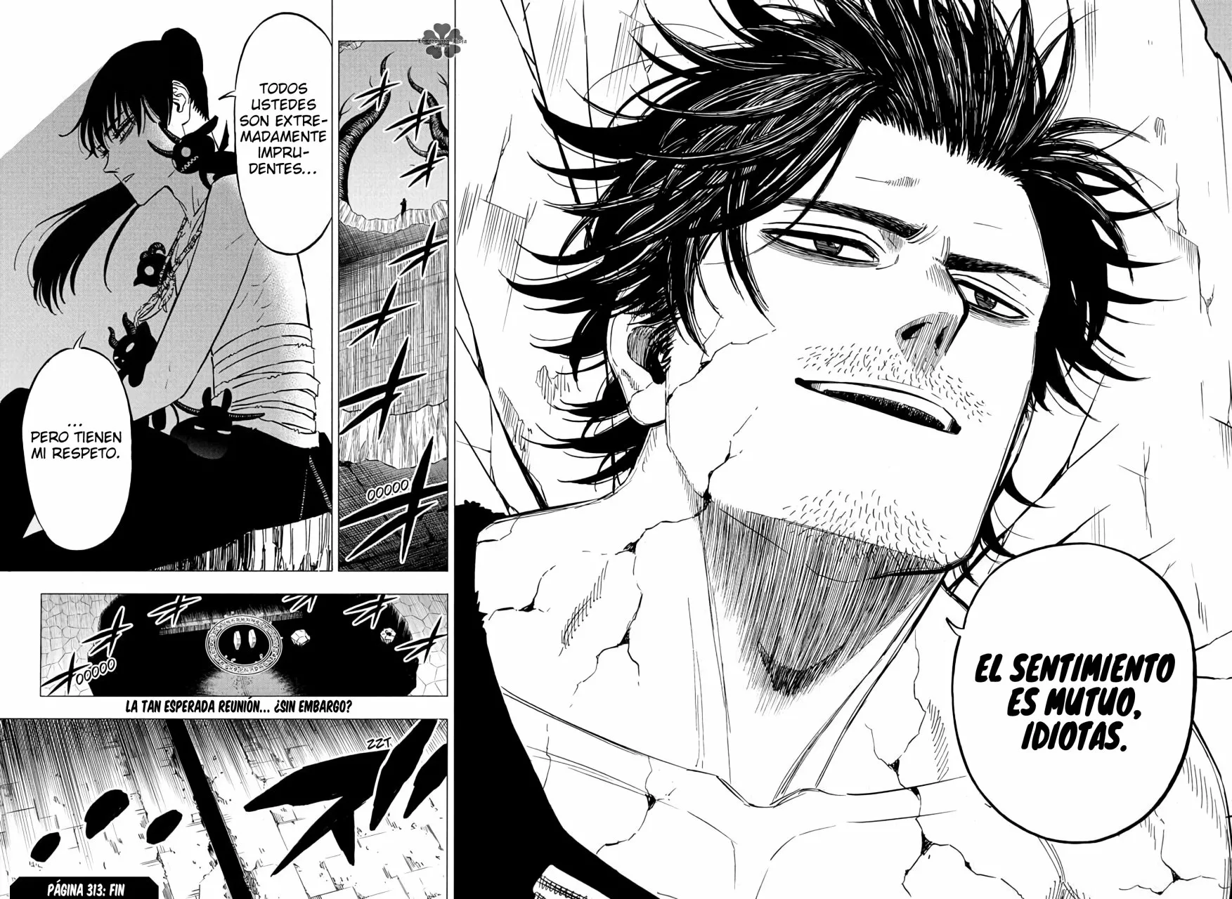 Black Clover Capítulo 313 - Page 14