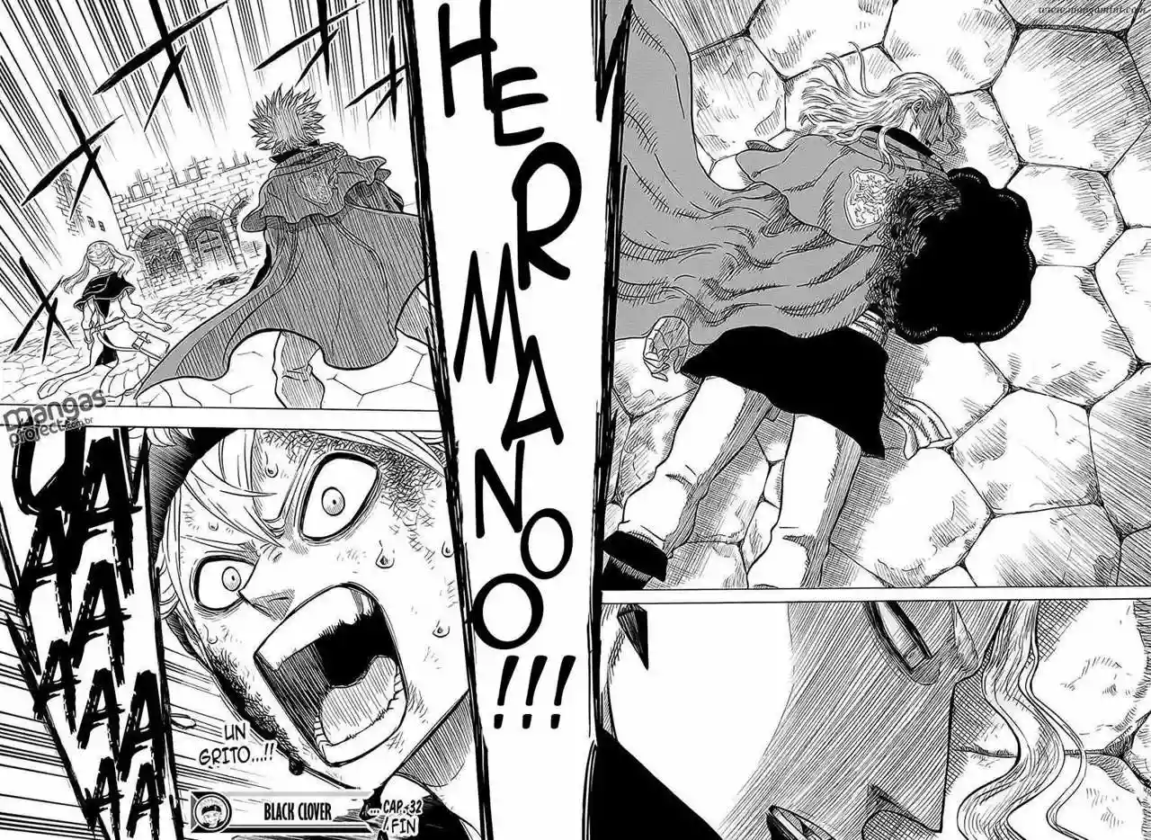 Black Clover Capítulo 32 - Page 17