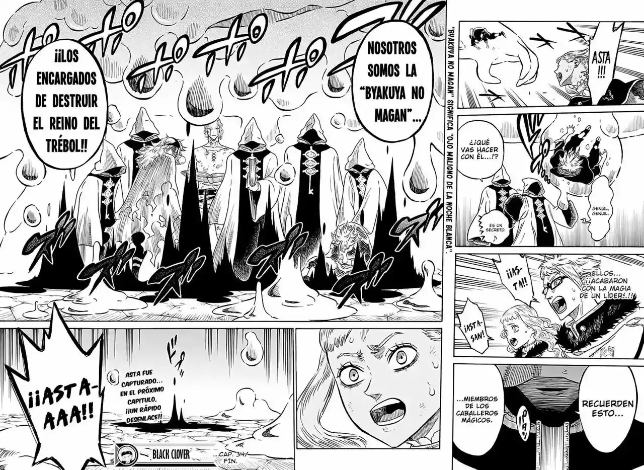 Black Clover Capítulo 34 - Page 17