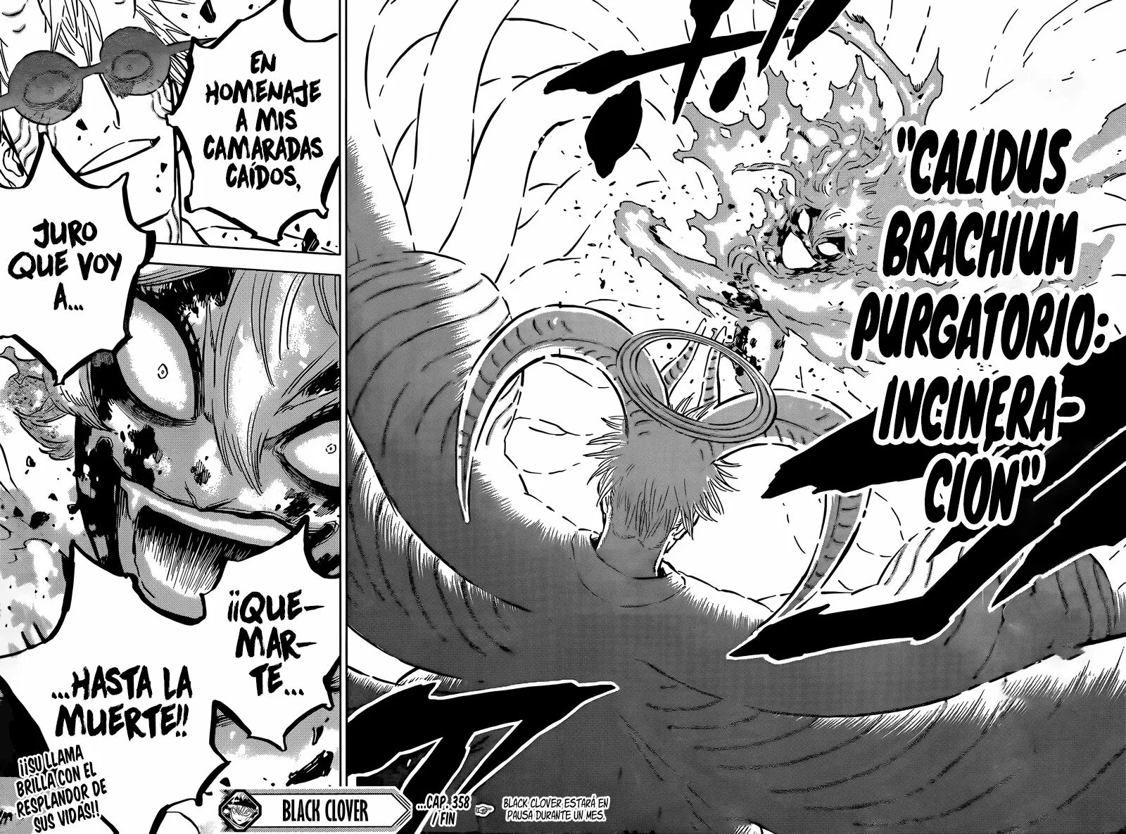 Black Clover Capítulo 358 - Page 14