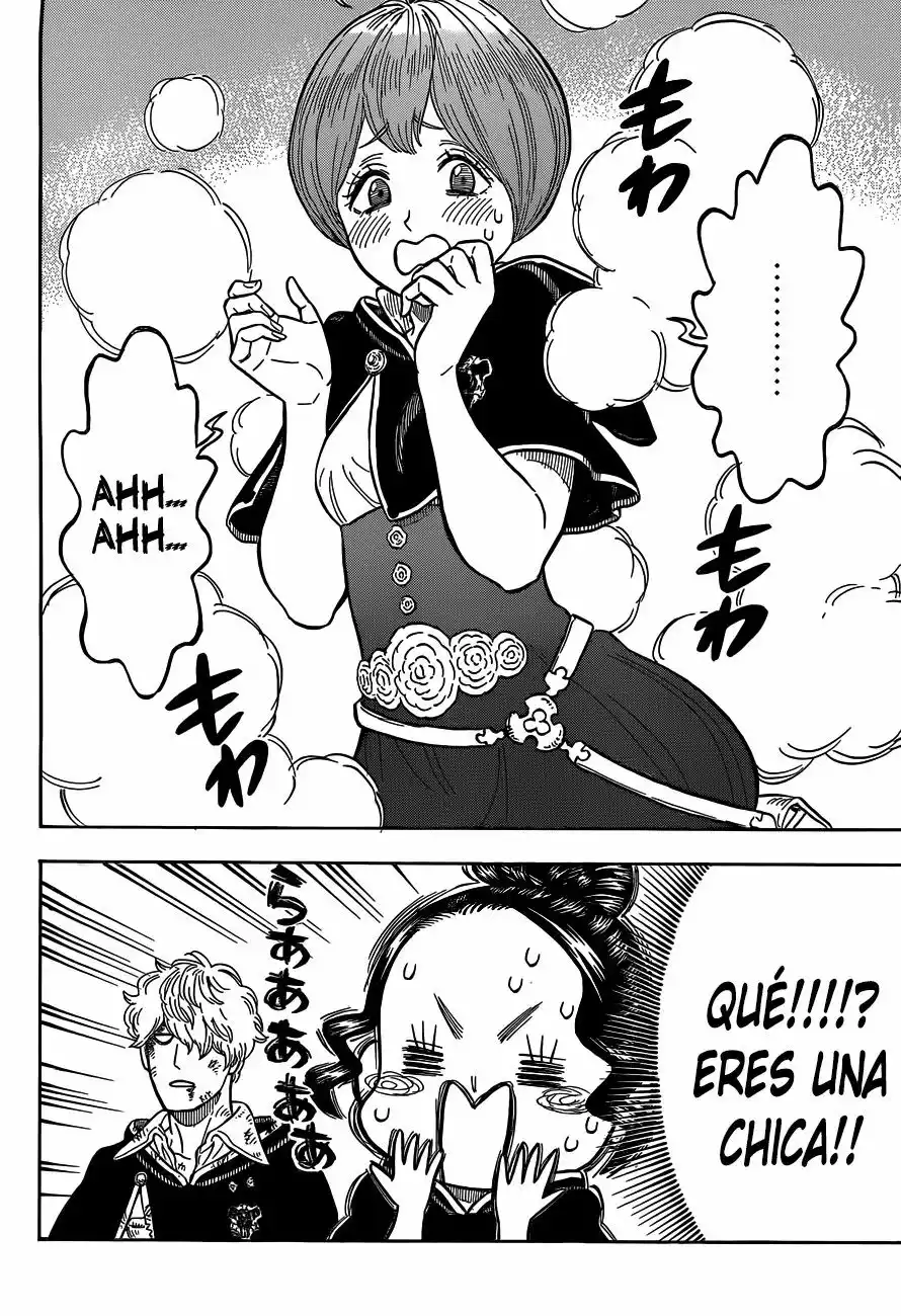 Black Clover Capítulo 66 - Page 17