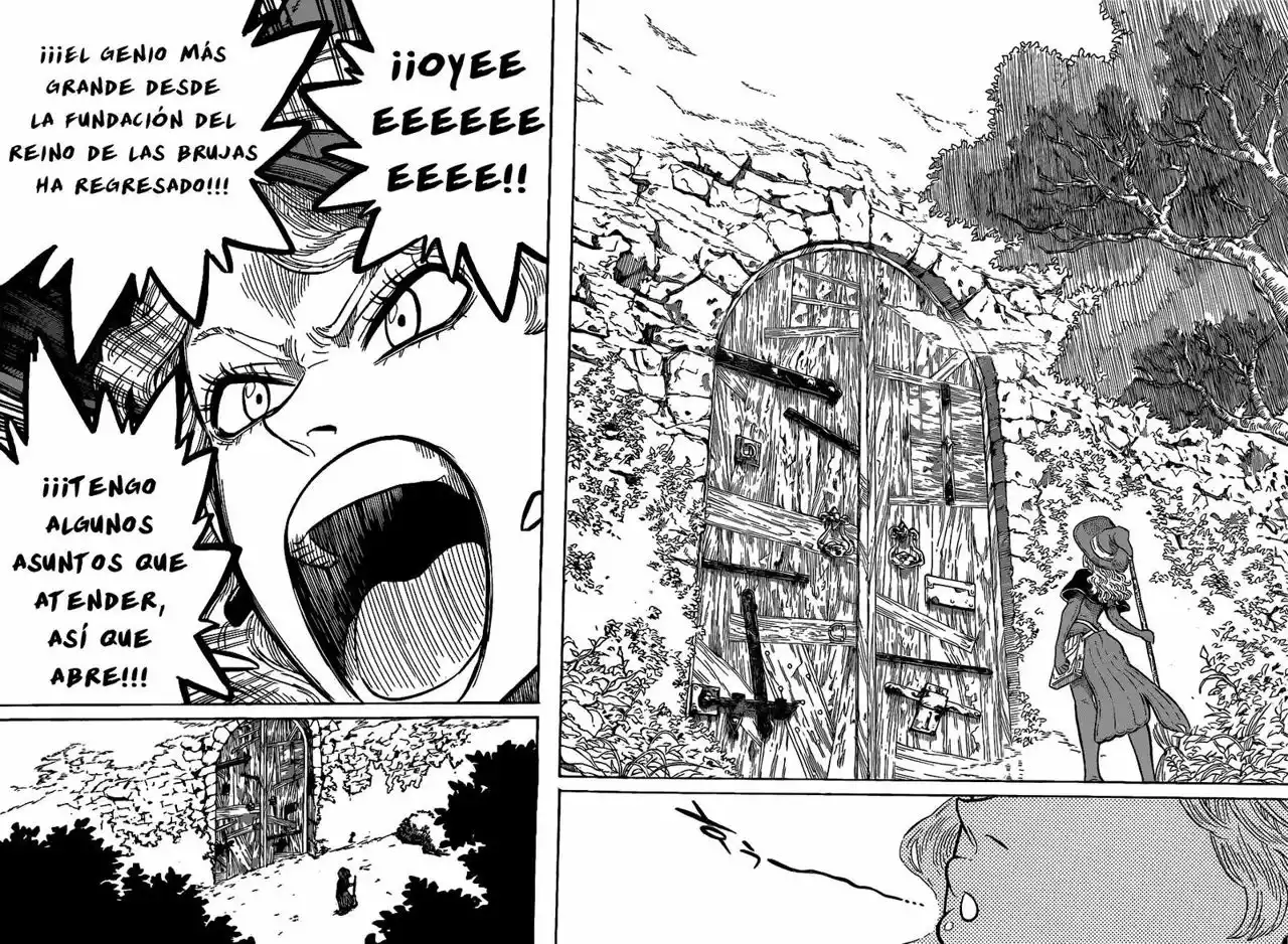Black Clover Capítulo 81 - Page 14