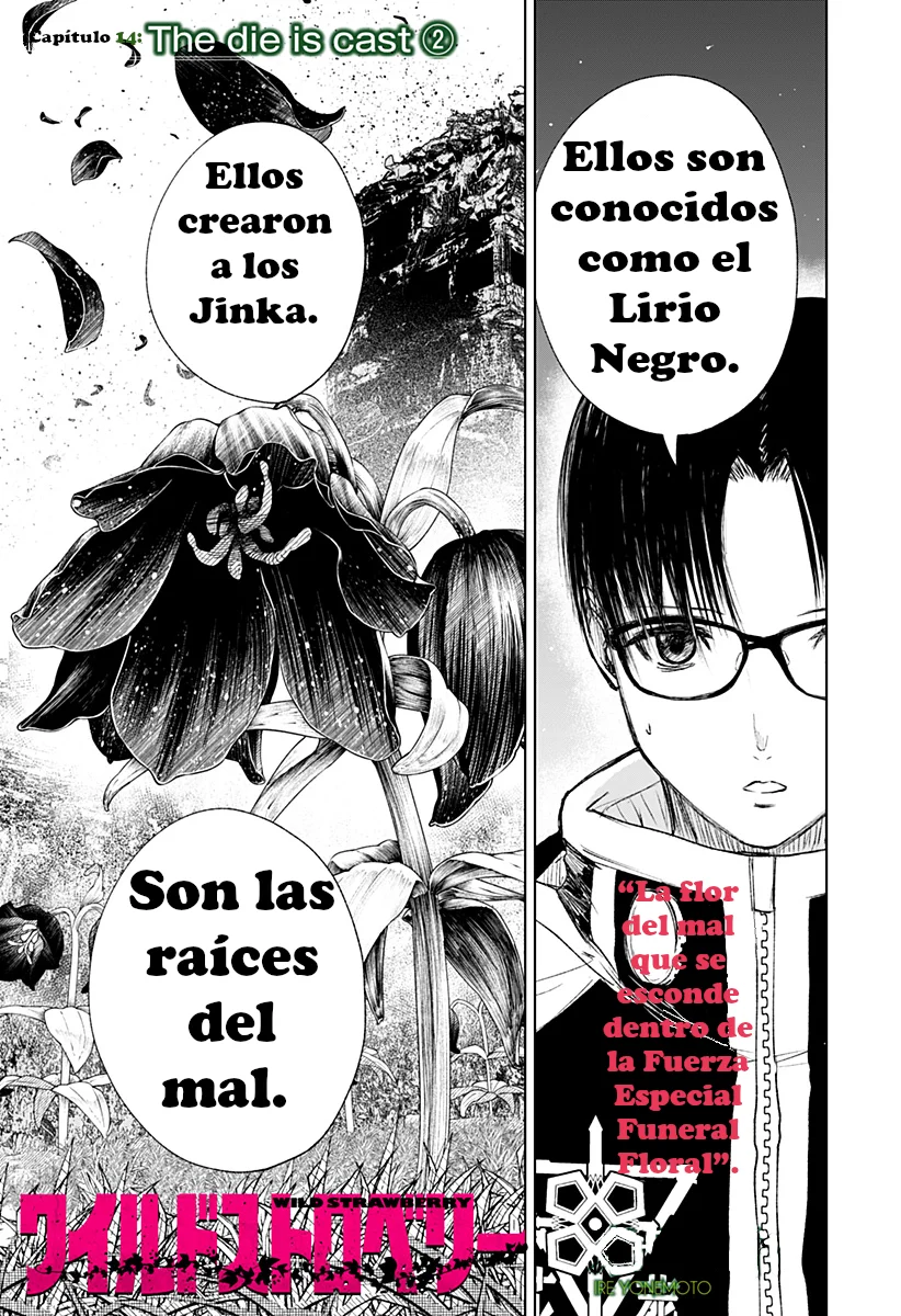 Wild Strawberry Capítulo 14 - Page 3