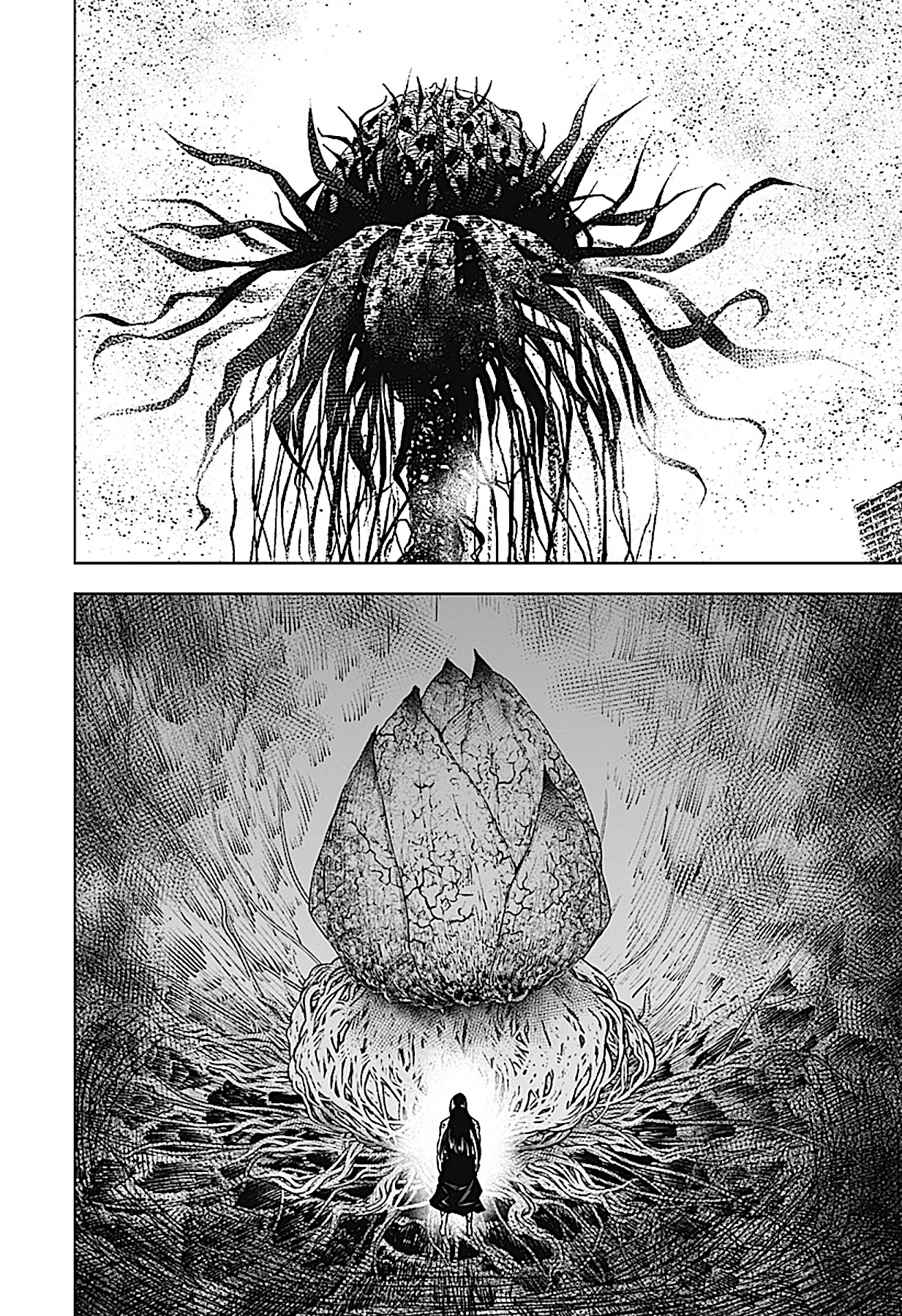 Wild Strawberry Capítulo 40 - Page 14