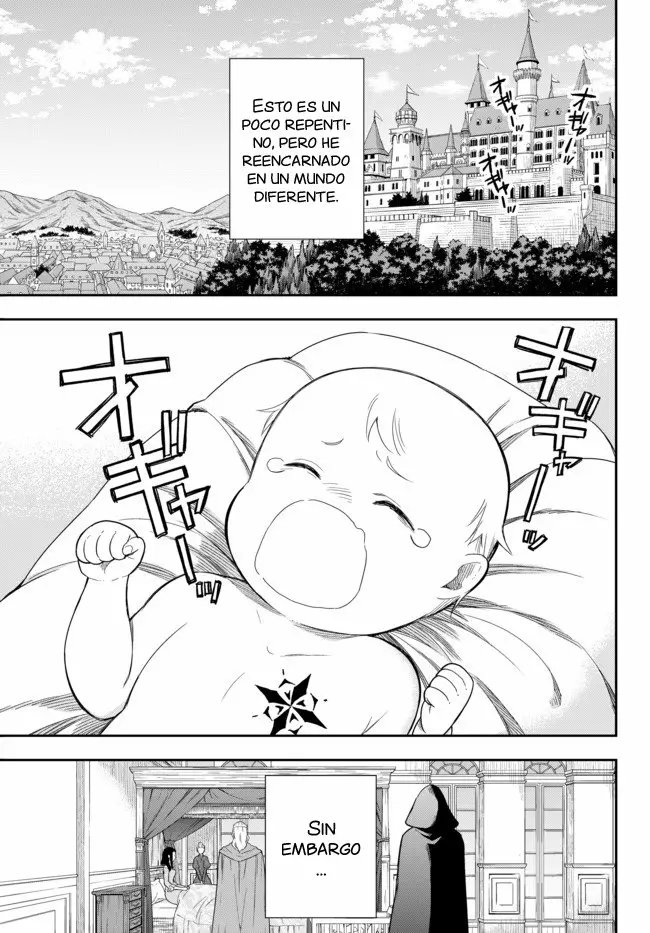 Jitsu wa Ore, Saikyou deshita? Capítulo 1 - Page 2