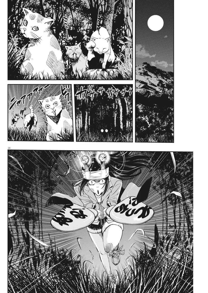 Kamen Rider W : Fuuto Detectives Capítulo 89 - Page 15