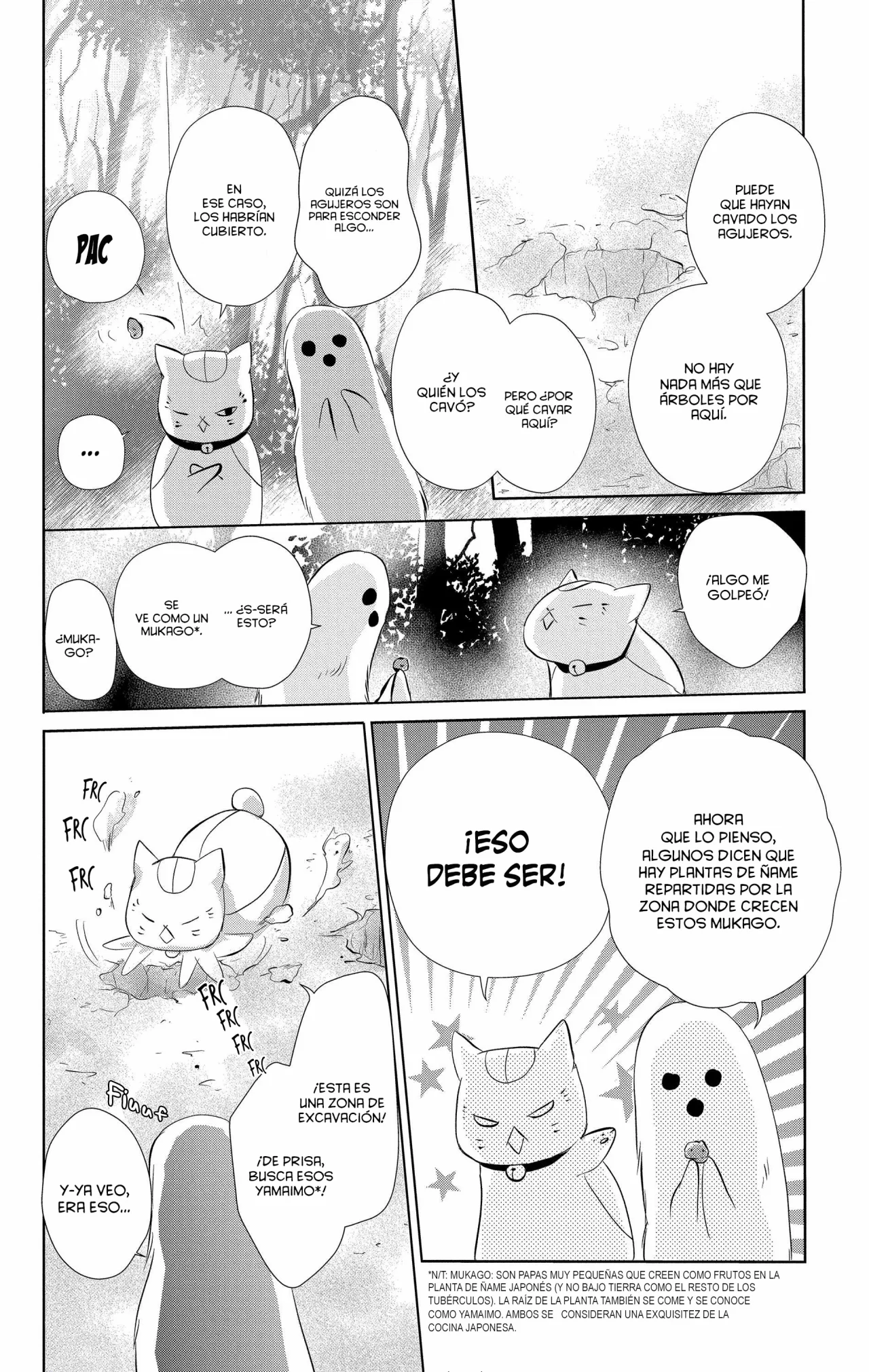 Natsume Yuujinchou Capítulo 109 - Page 13