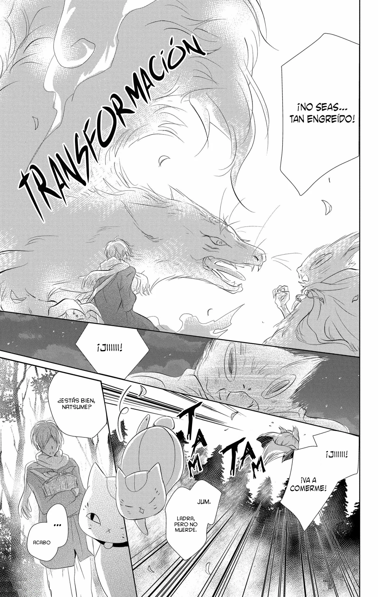 Natsume Yuujinchou Capítulo 110 - Page 22