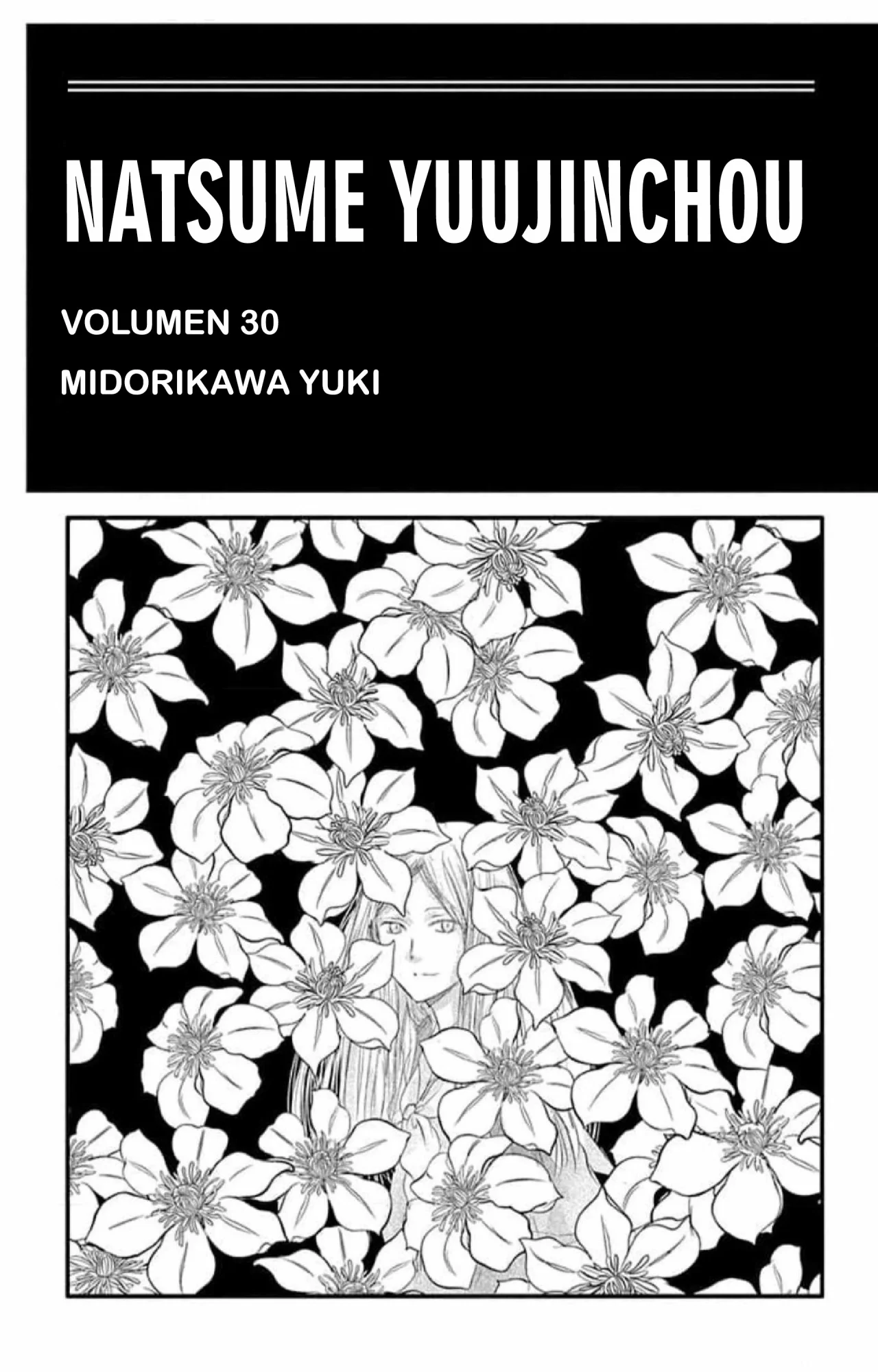 Natsume Yuujinchou Capítulo 120 - Page 2