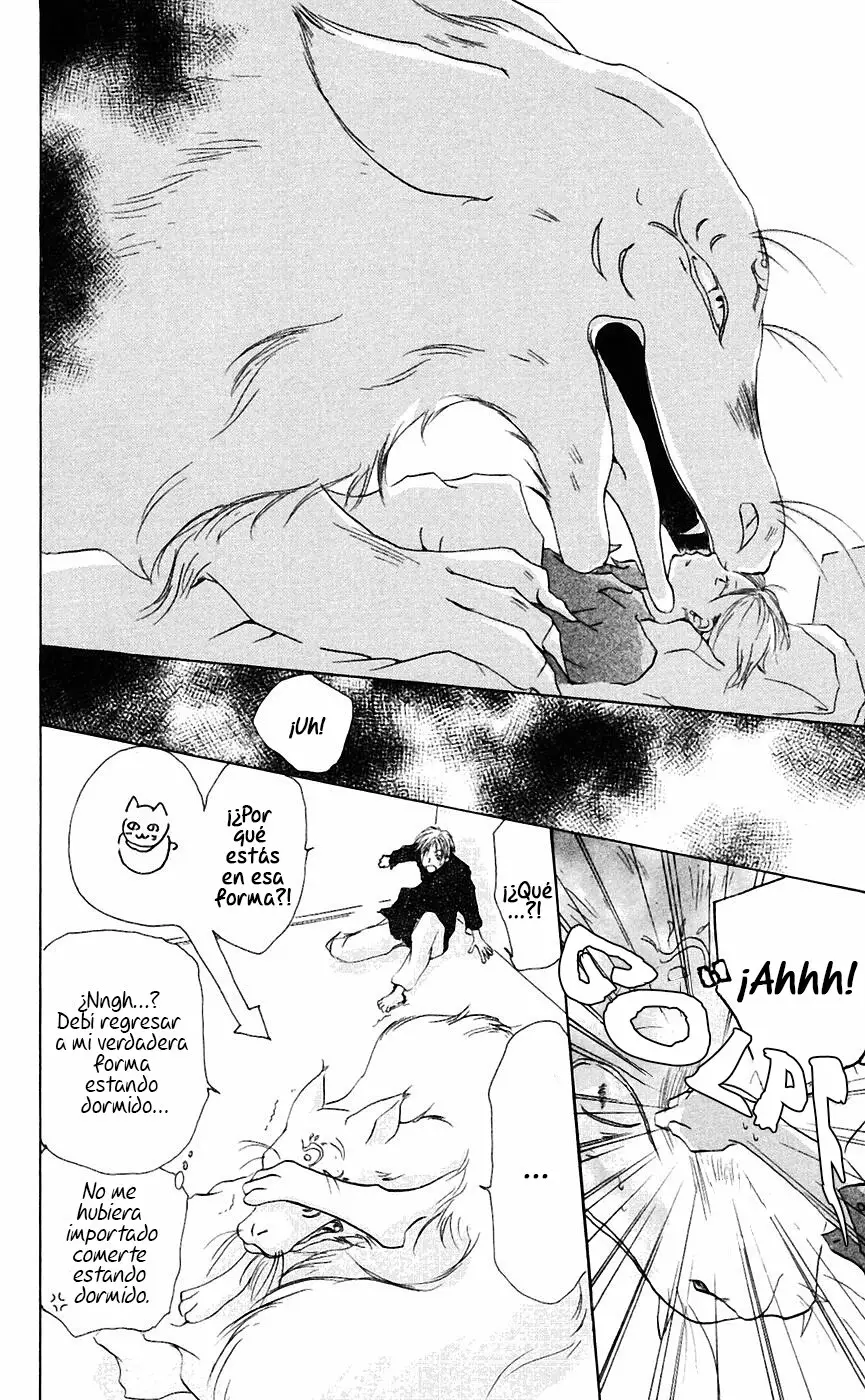 Natsume Yuujinchou Capítulo 2 - Page 25