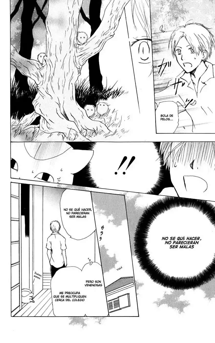 Natsume Yuujinchou Capítulo 32 - Page 21