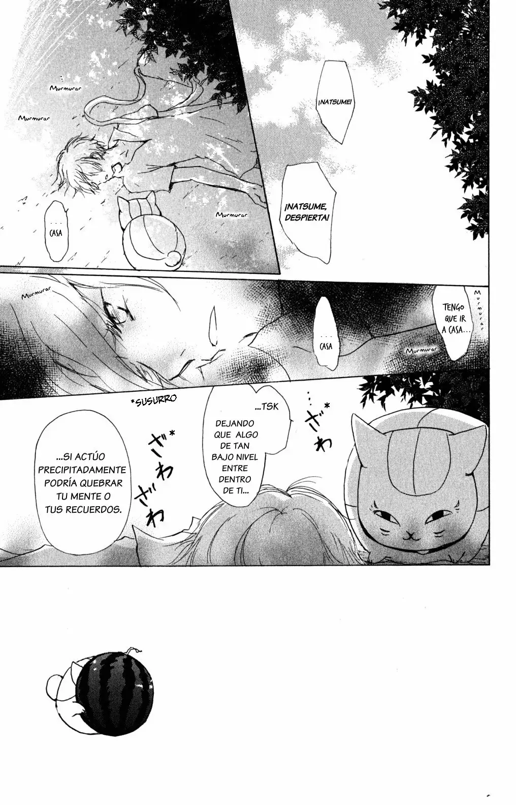 Natsume Yuujinchou Capítulo 46 - Page 3