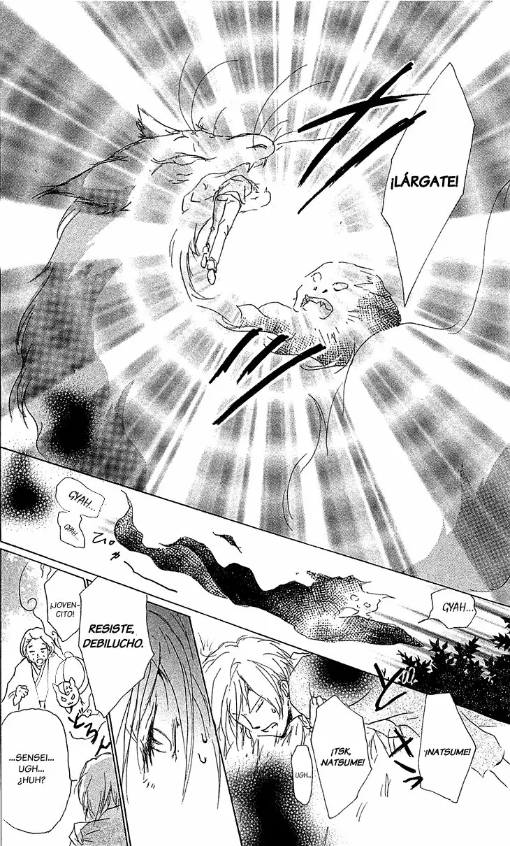 Natsume Yuujinchou Capítulo 48 - Page 27