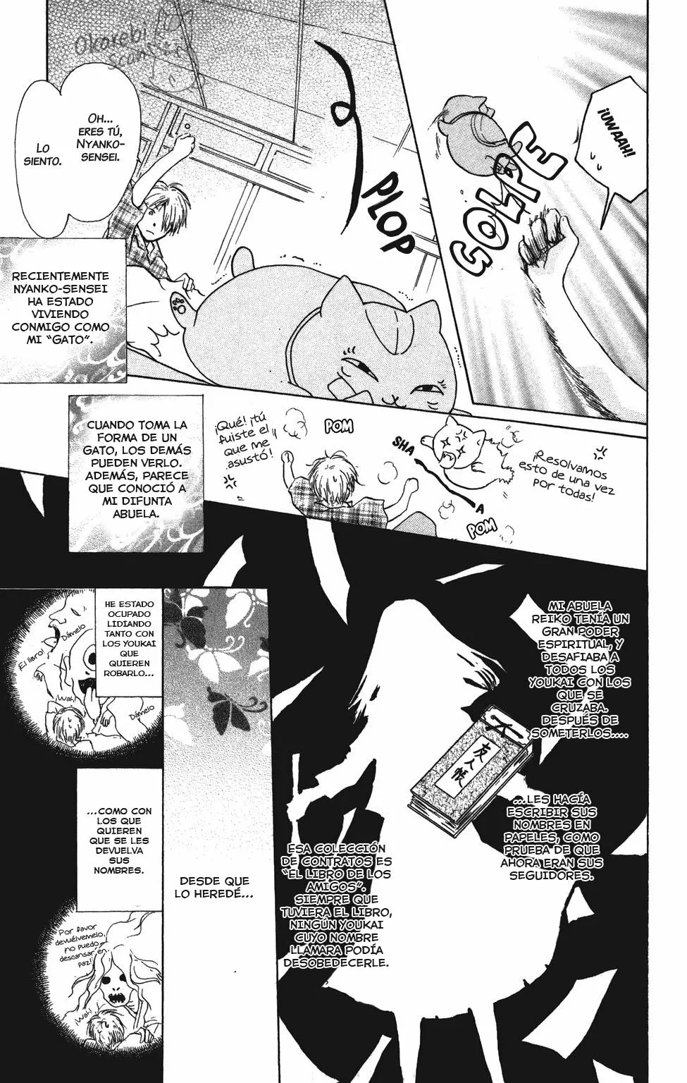 Natsume Yuujinchou Capítulo 5 - Page 10
