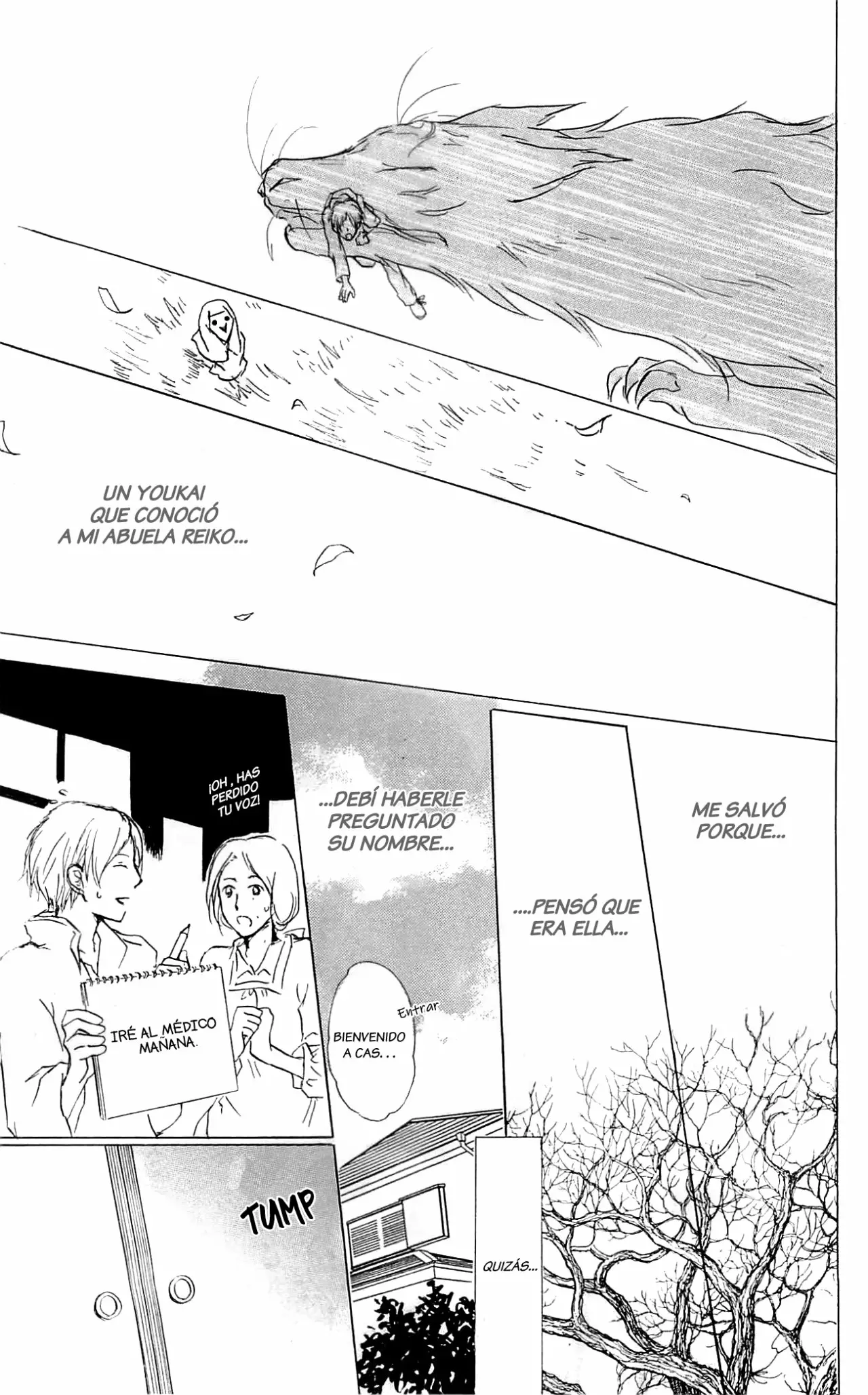 Natsume Yuujinchou Capítulo 55 - Page 17