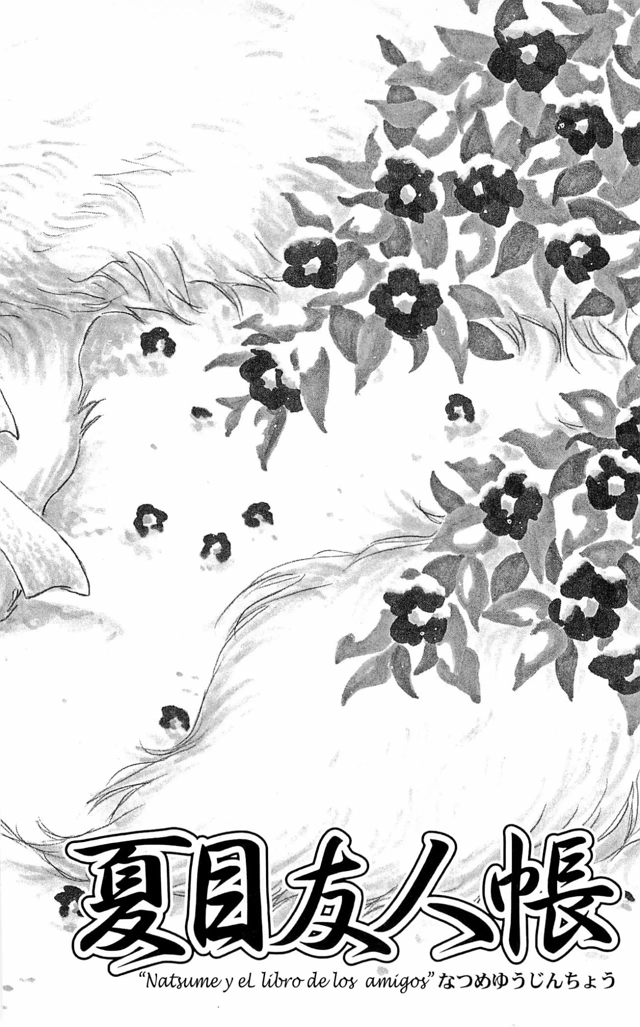 Natsume Yuujinchou Capítulo 56 - Page 7