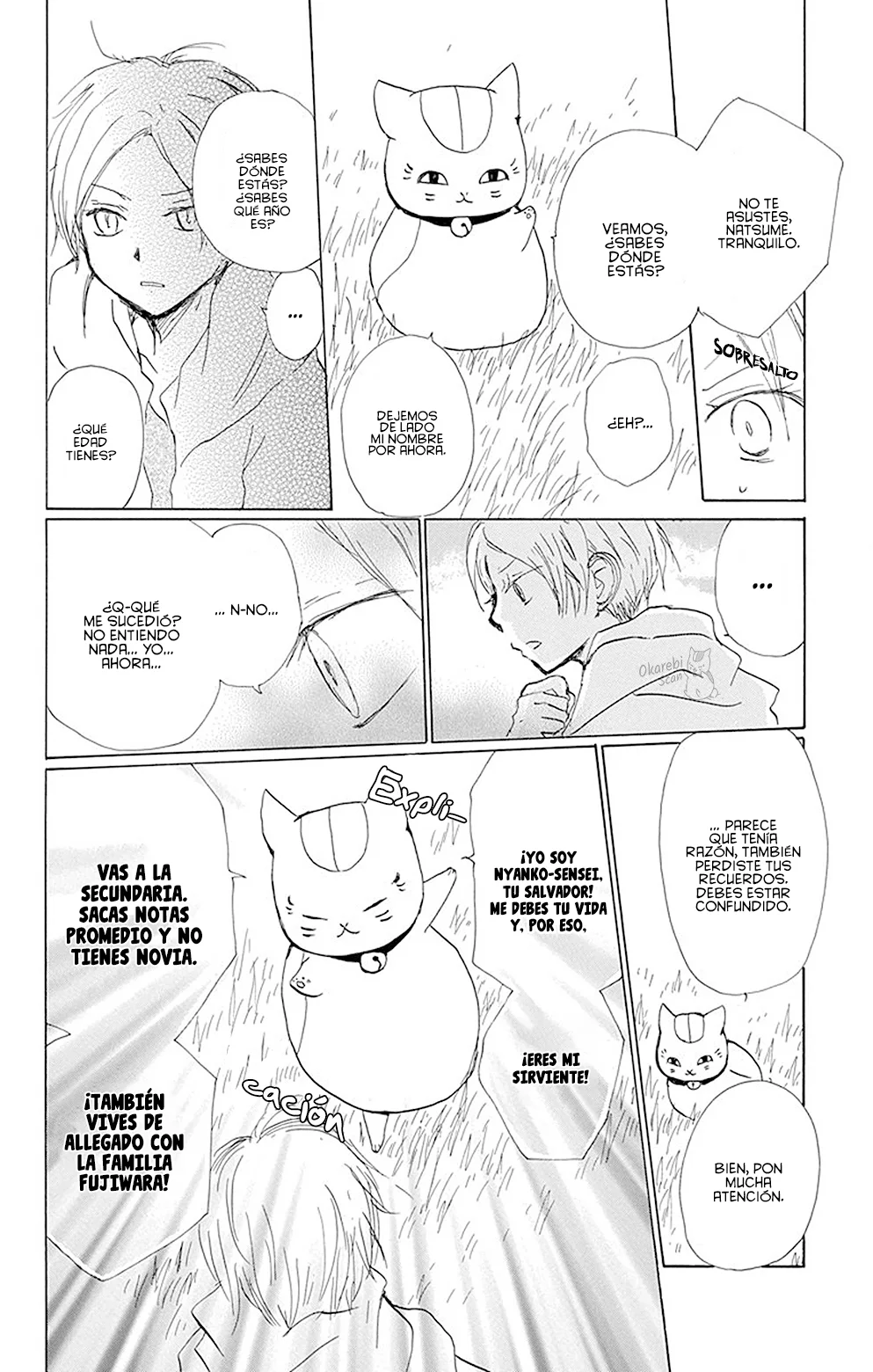 Natsume Yuujinchou Capítulo 78 - Page 15