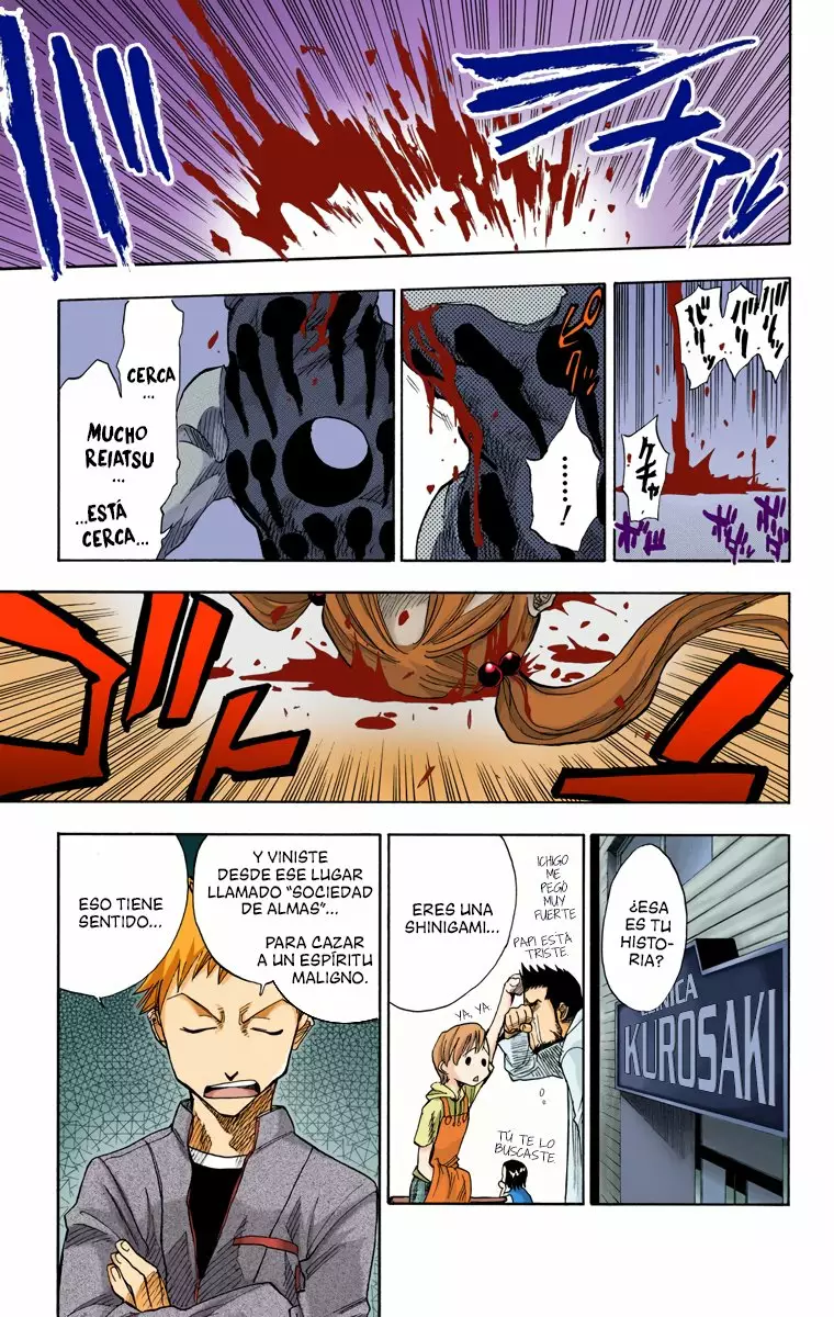 Bleach – Digital Colored Comics Capítulo 1 - Page 17