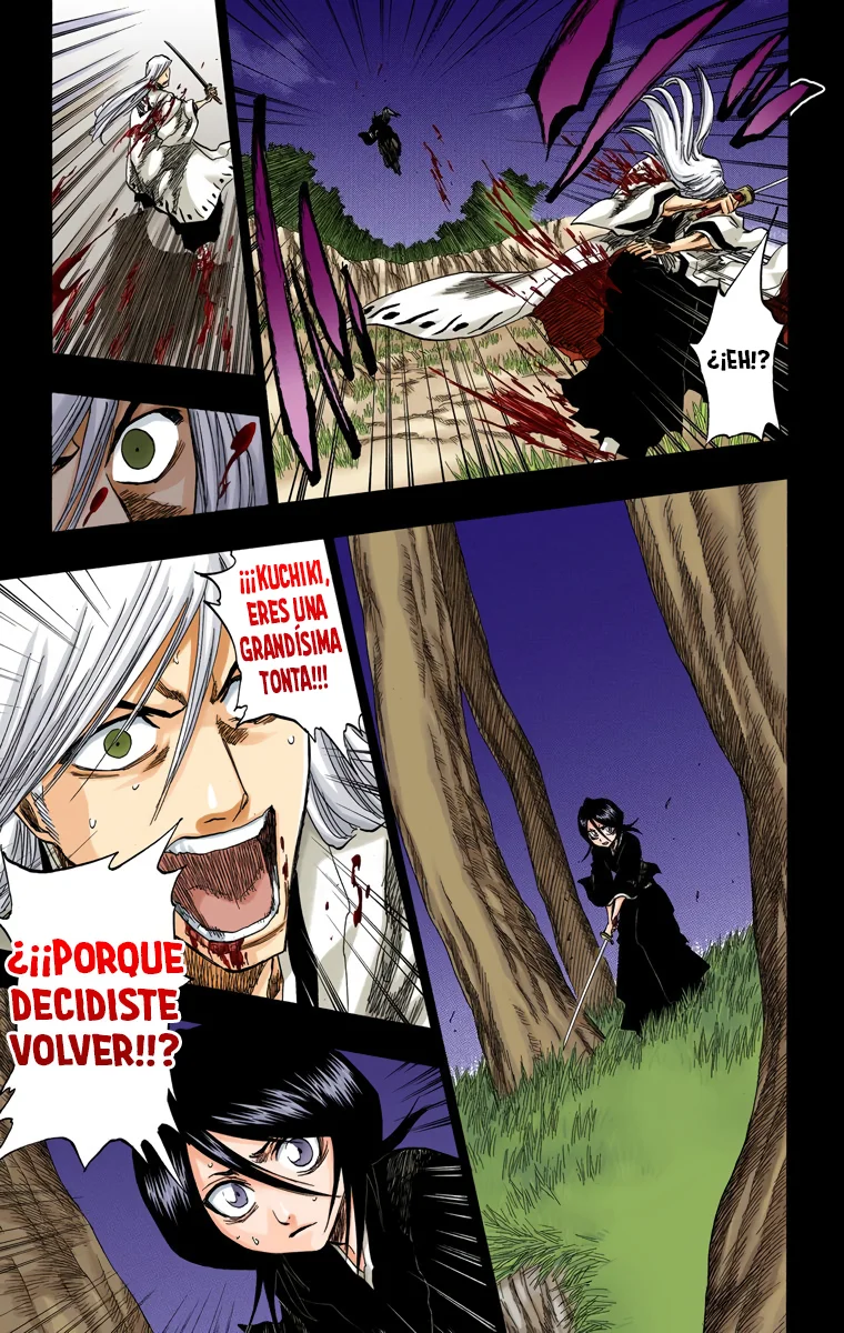 Bleach – Digital Colored Comics Capítulo 136 - Page 12