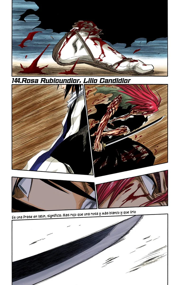 Bleach – Digital Colored Comics Capítulo 144 - Page 2