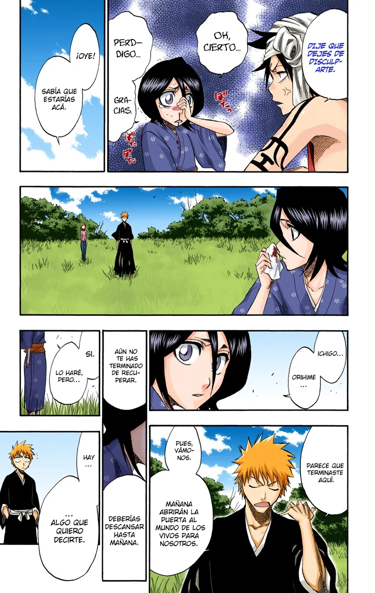 Bleach – Digital Colored Comics Capítulo 181 - Page 14