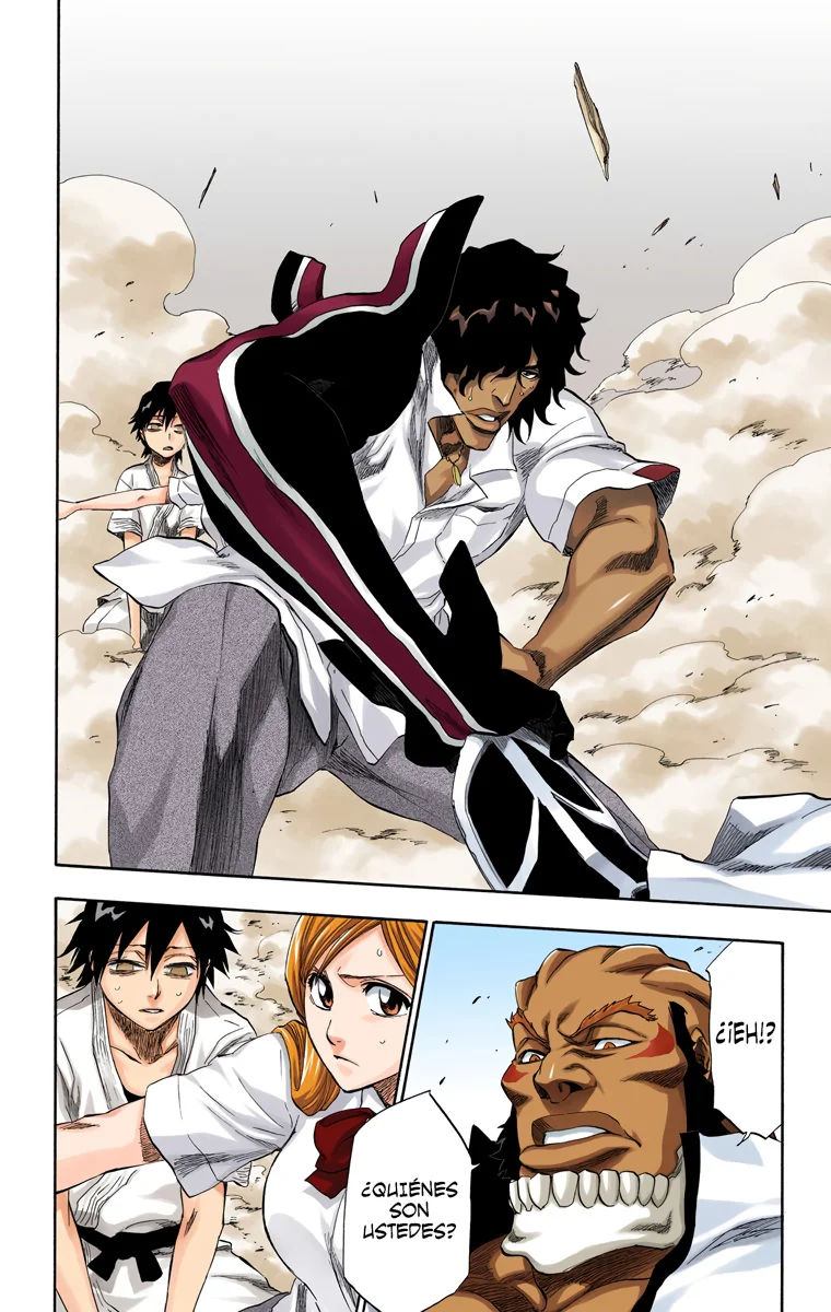Bleach – Digital Colored Comics Capítulo 191 - Page 15