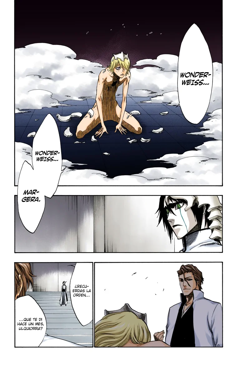 Bleach – Digital Colored Comics Capítulo 229 - Page 16