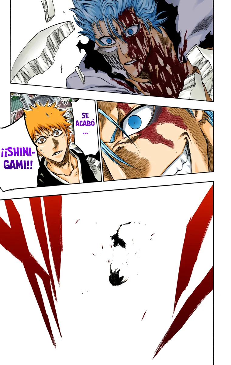 Bleach – Digital Colored Comics Capítulo 232 - Page 20