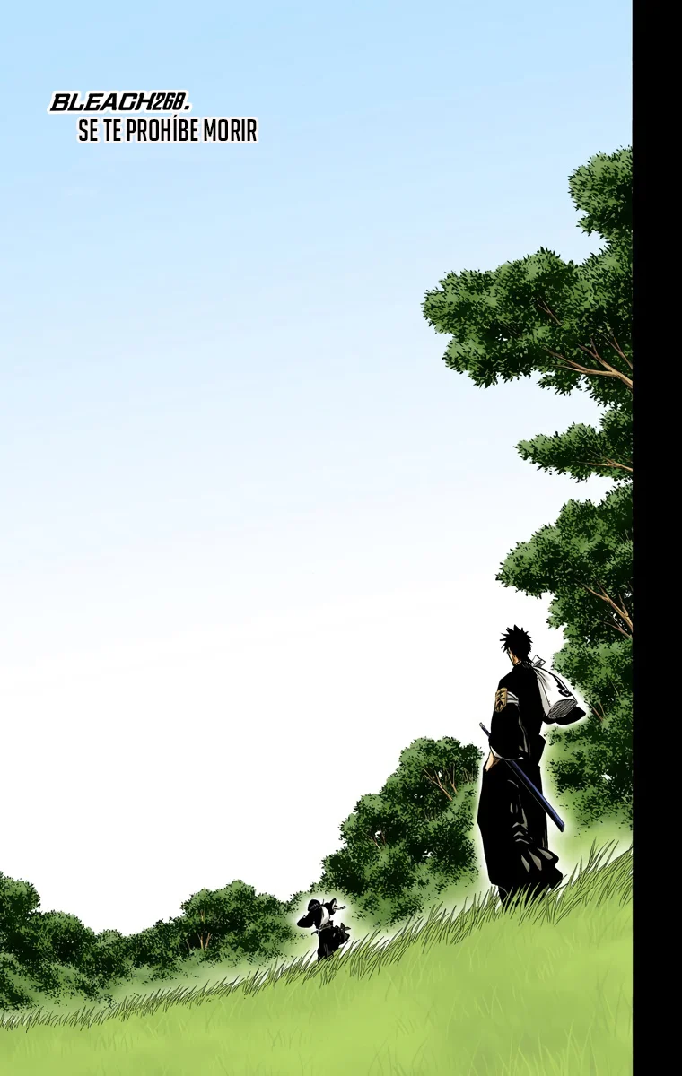 Bleach – Digital Colored Comics Capítulo 268 - Page 6