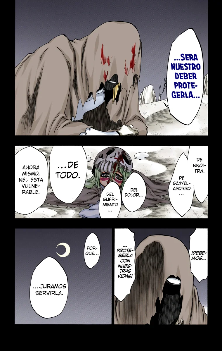 Bleach – Digital Colored Comics Capítulo 295 - Page 7