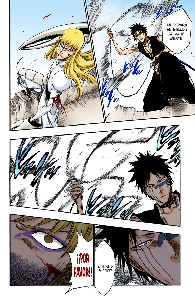 Bleach – Digital Colored Comics Capítulo 325 - Page 13
