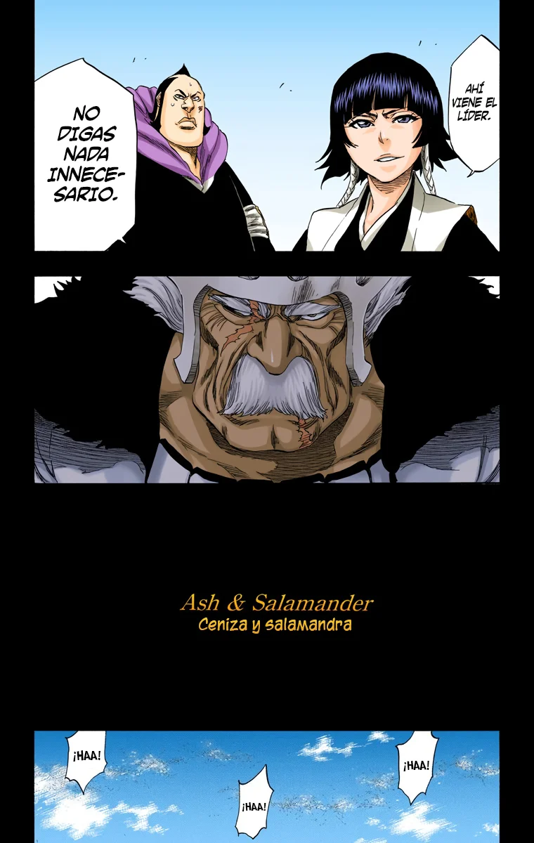 Bleach – Digital Colored Comics Capítulo 333 - Page 14