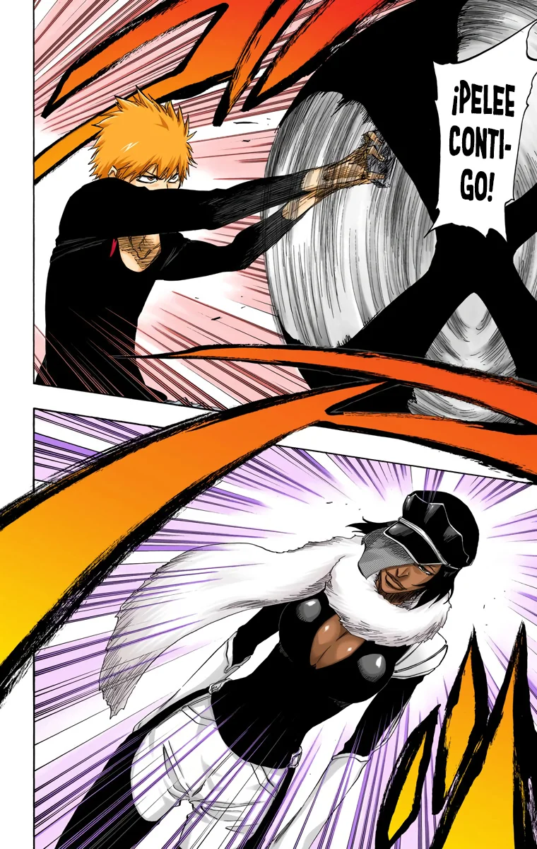 Bleach – Digital Colored Comics Capítulo 442 - Page 17