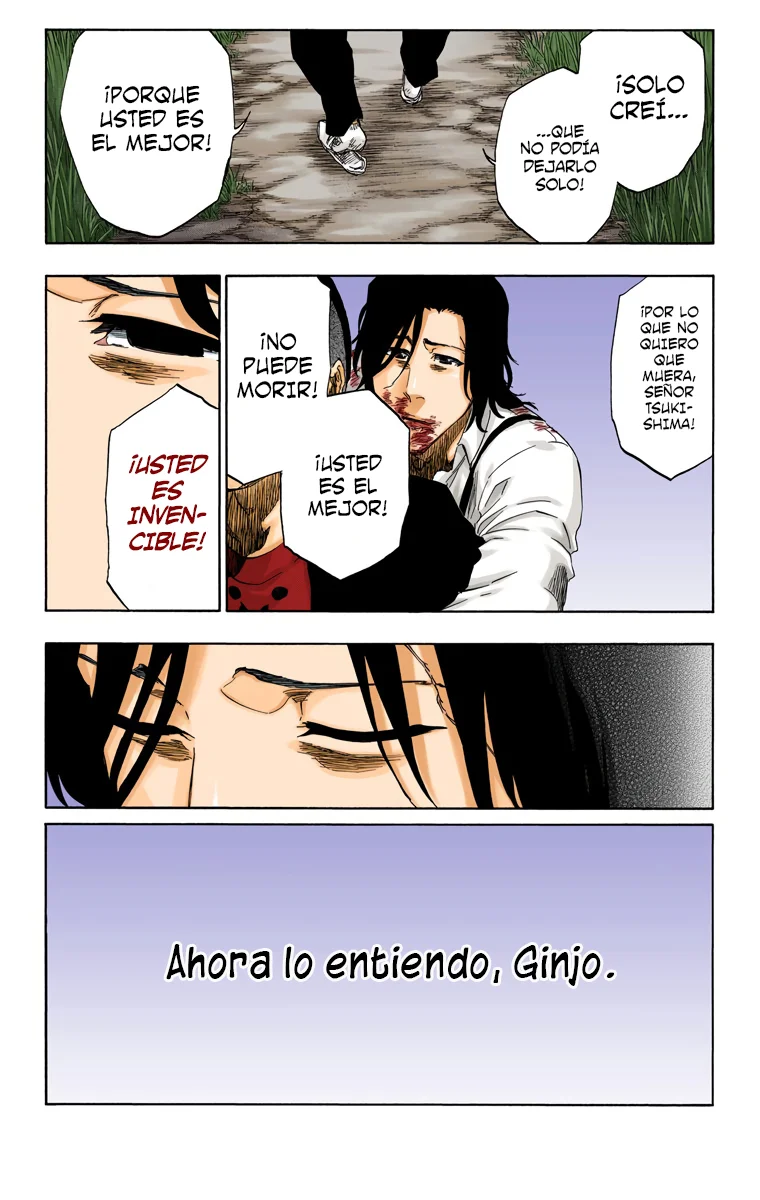 Bleach – Digital Colored Comics Capítulo 478 - Page 18