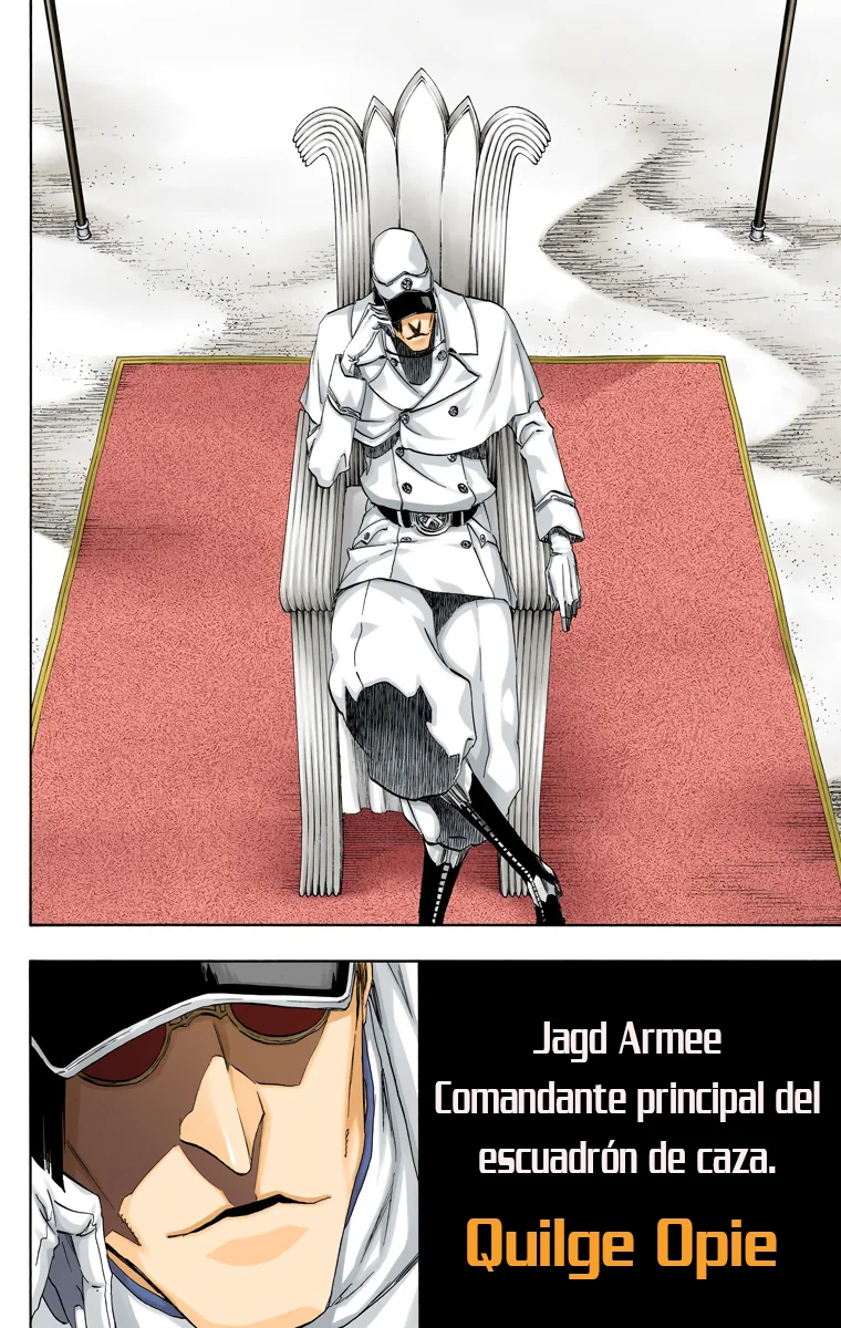 Bleach – Digital Colored Comics Capítulo 487 - Page 12