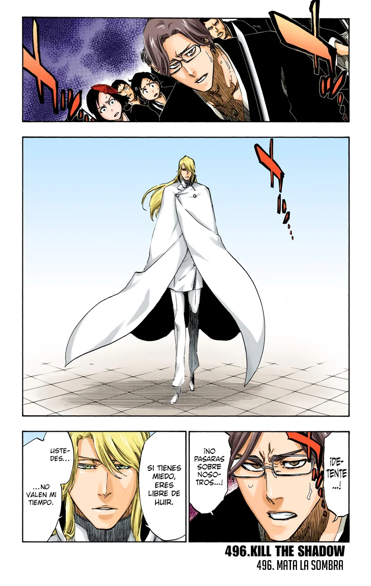 Bleach – Digital Colored Comics Capítulo 496 - Page 2