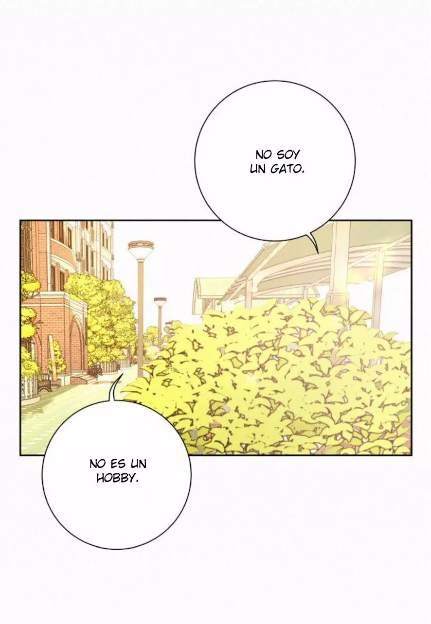 Operación: Amor Verdadero Capítulo 10 - Page 88