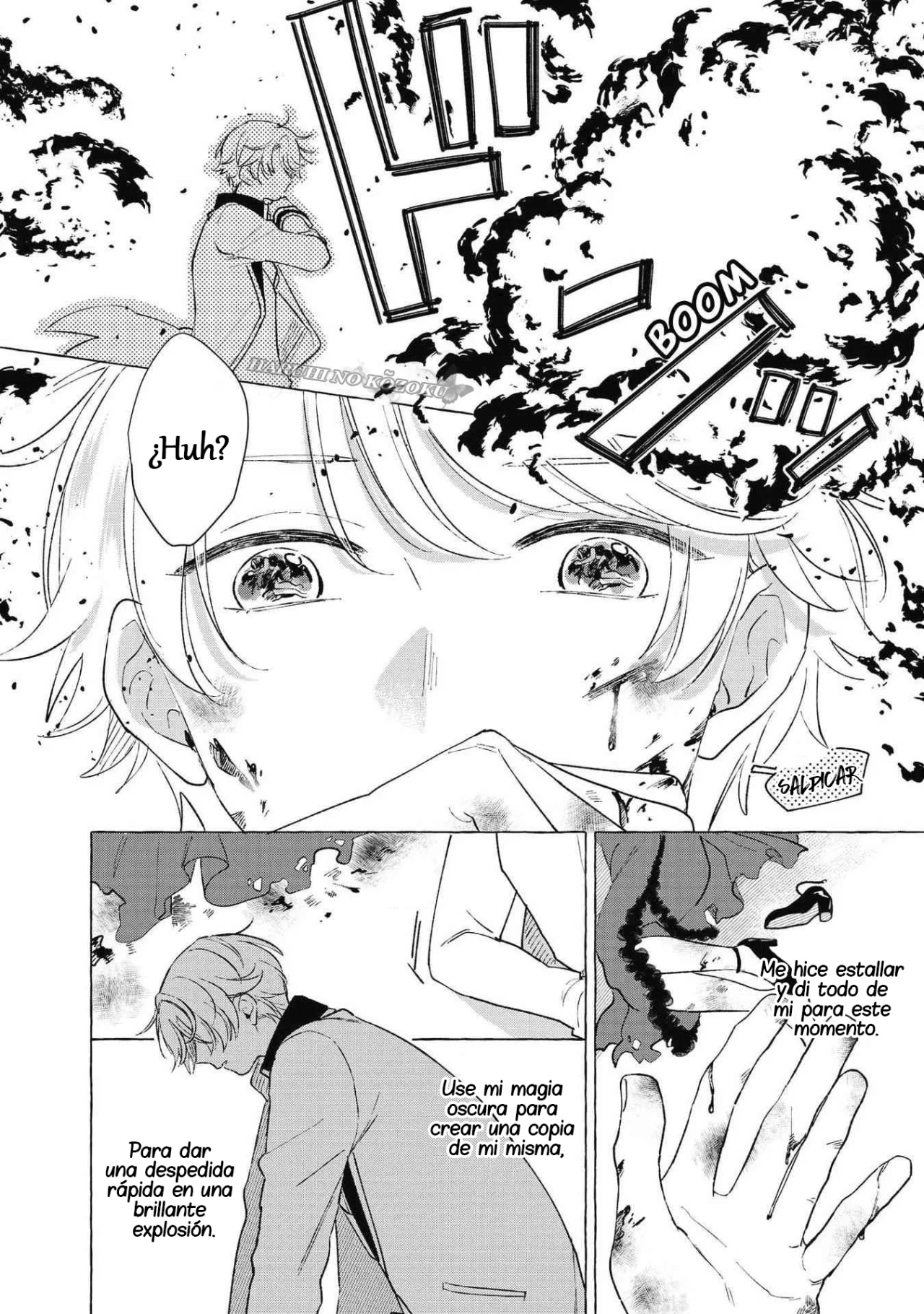 Aunque pueda ser una Villana, ¡Te mostraré que puedo obtener la Felicidad! Capítulo 10 - Page 19