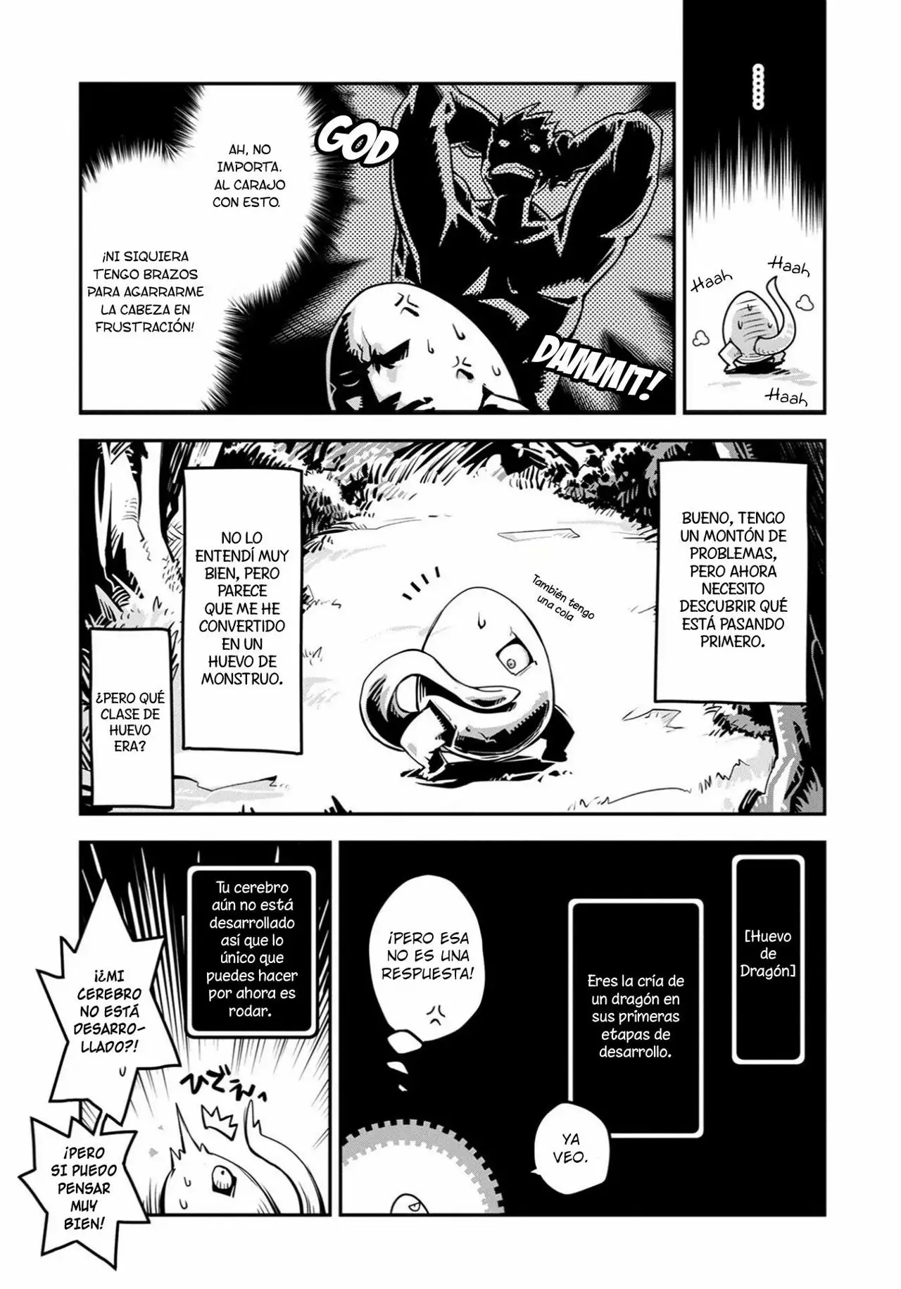 Tensei Shitara Dragon No Tamago Datta – Saikyou Igai Mezasa Nee Capítulo 1 - Page 9
