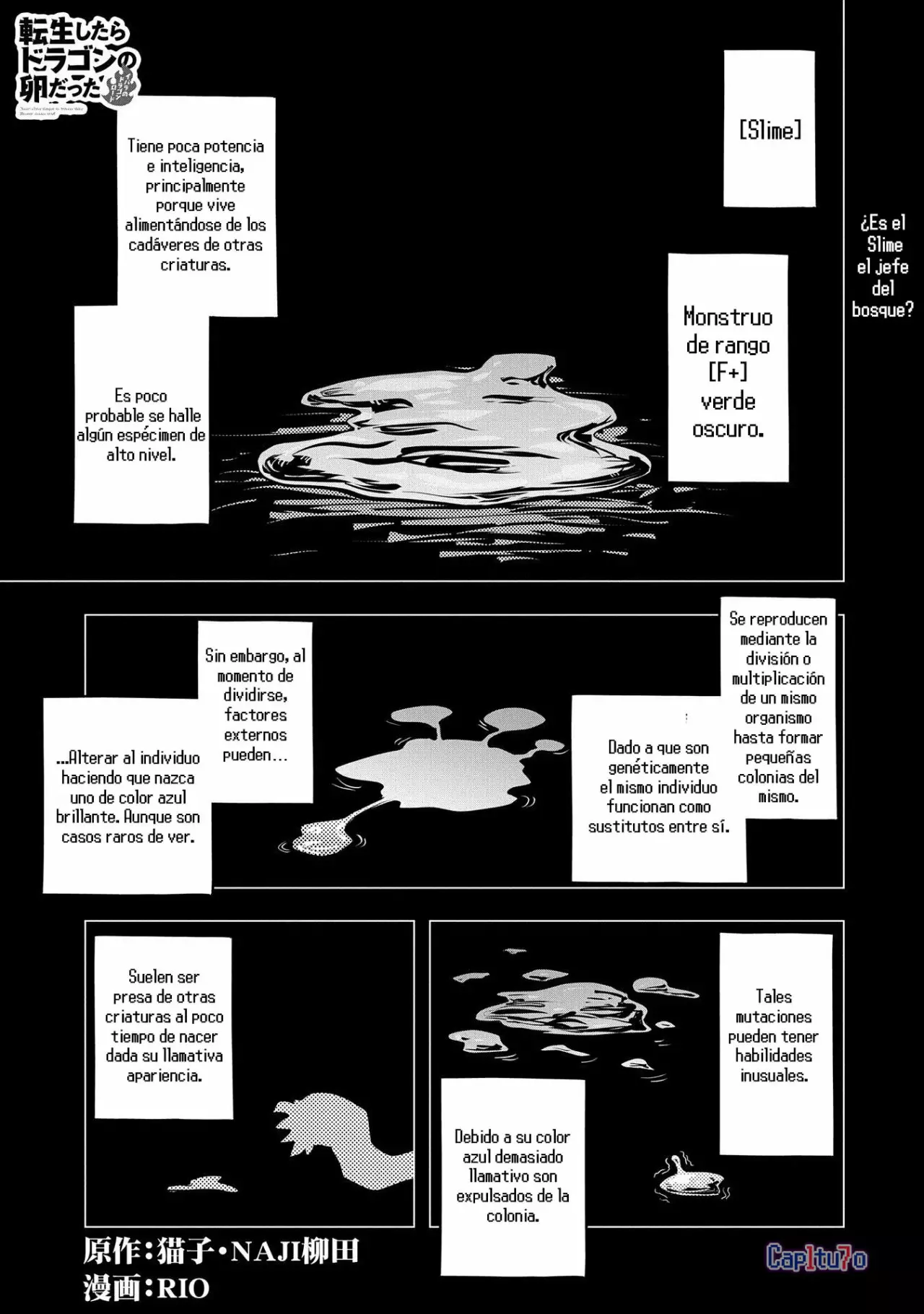 Tensei Shitara Dragon No Tamago Datta – Saikyou Igai Mezasa Nee Capítulo 17 - Page 2